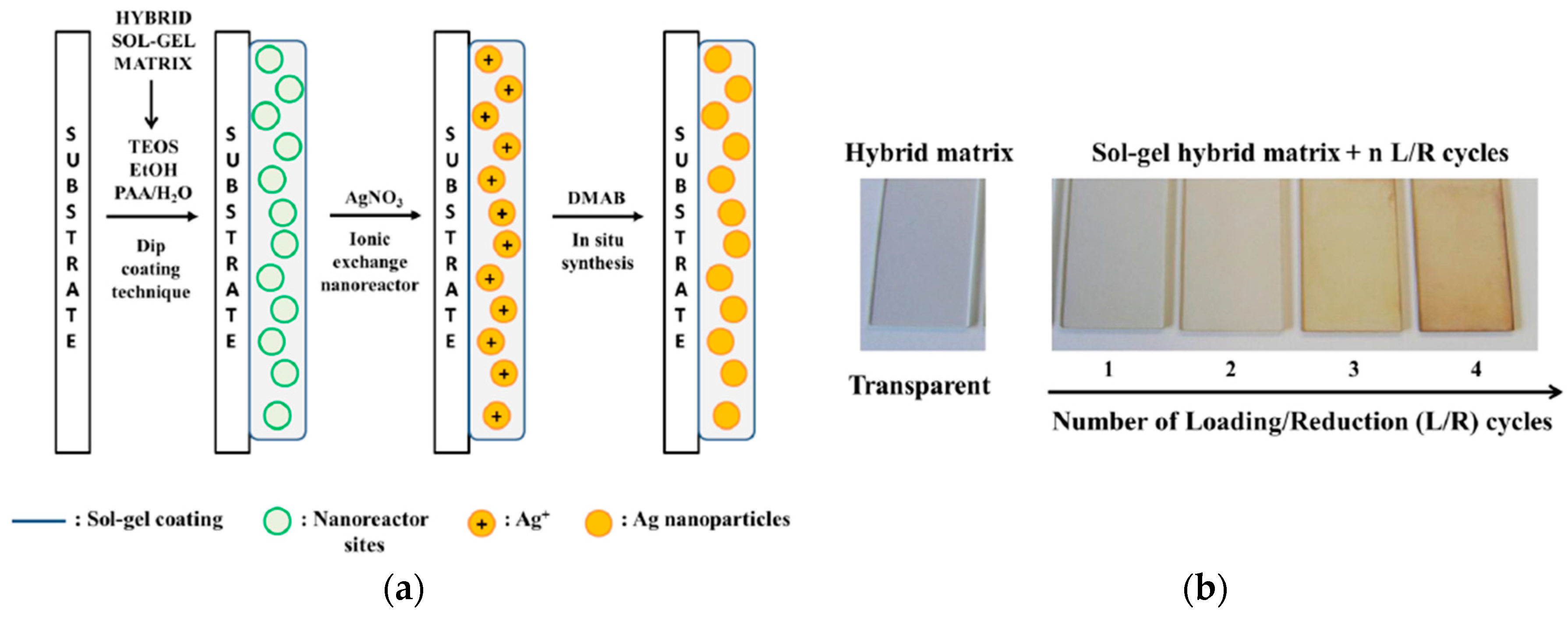 Coatings 08 00076 g003