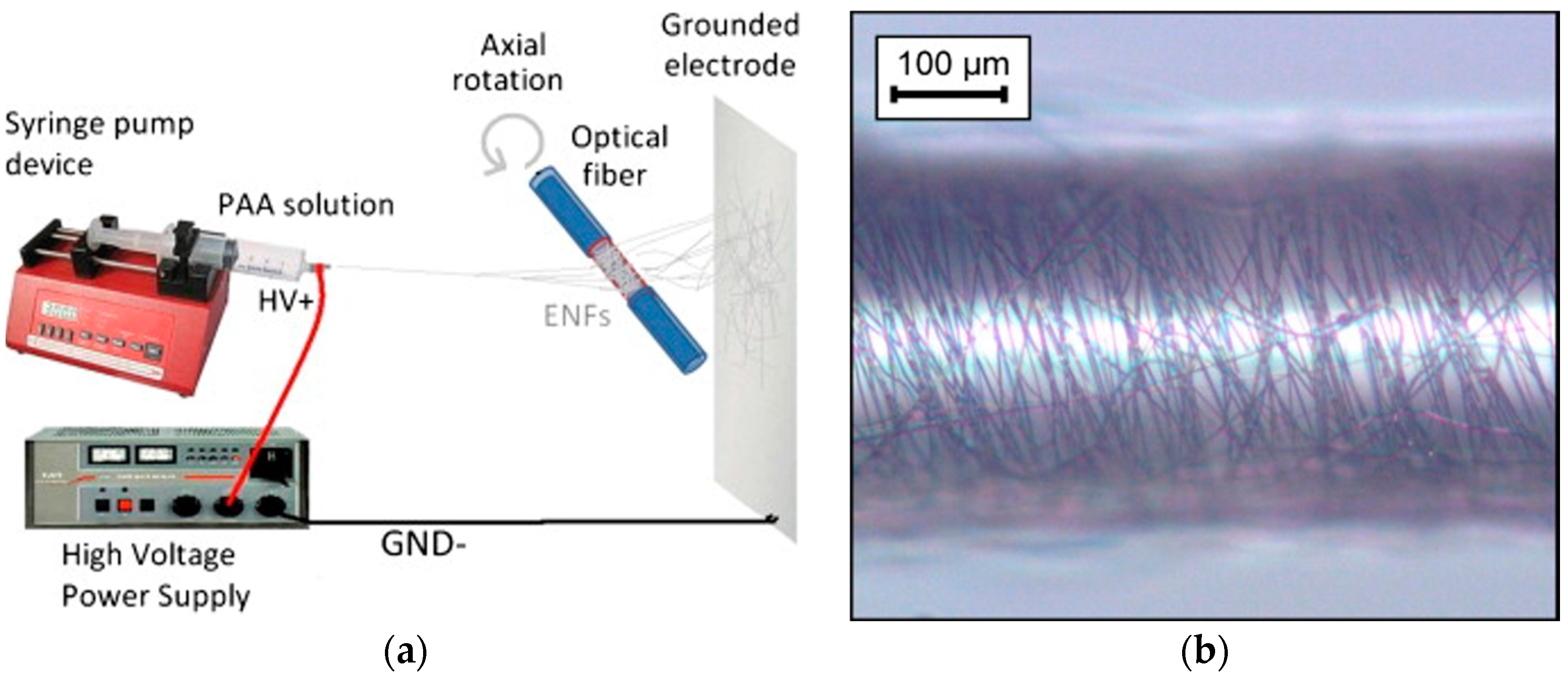 Coatings 08 00076 g004