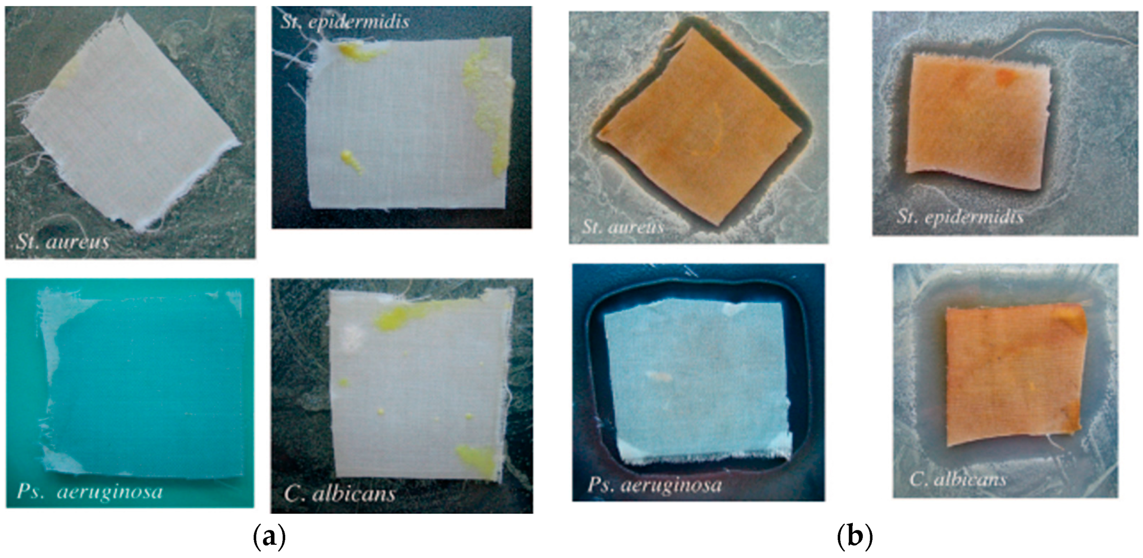 Coatings 08 00076 g009