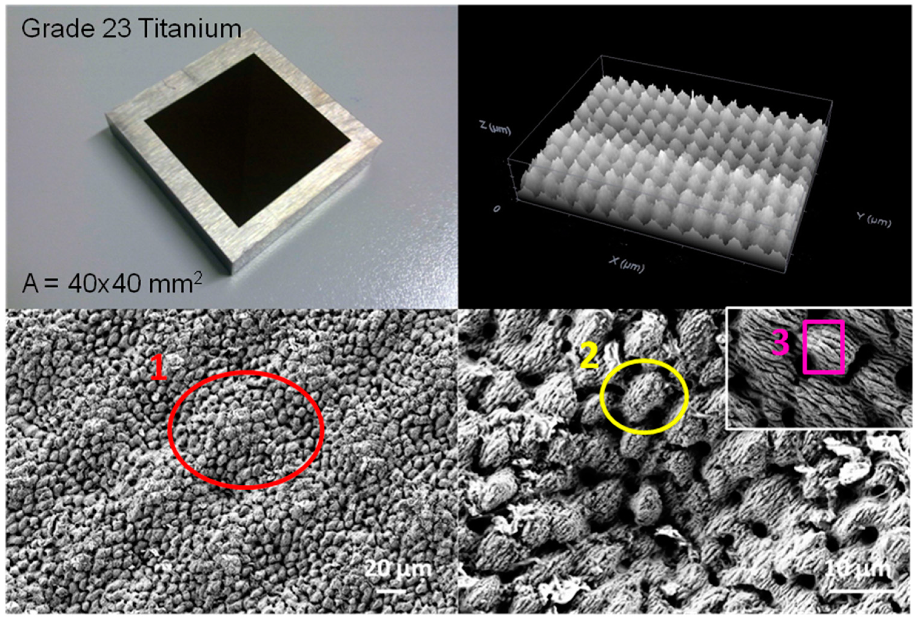 Coatings 08 00076 g010