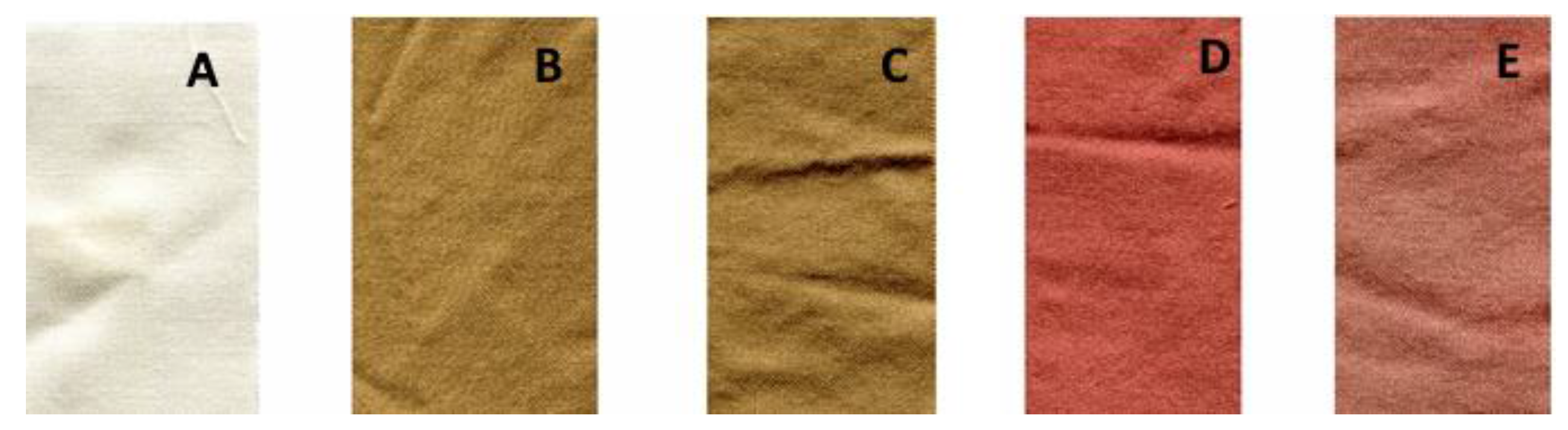 Coatings 08 00077 g001