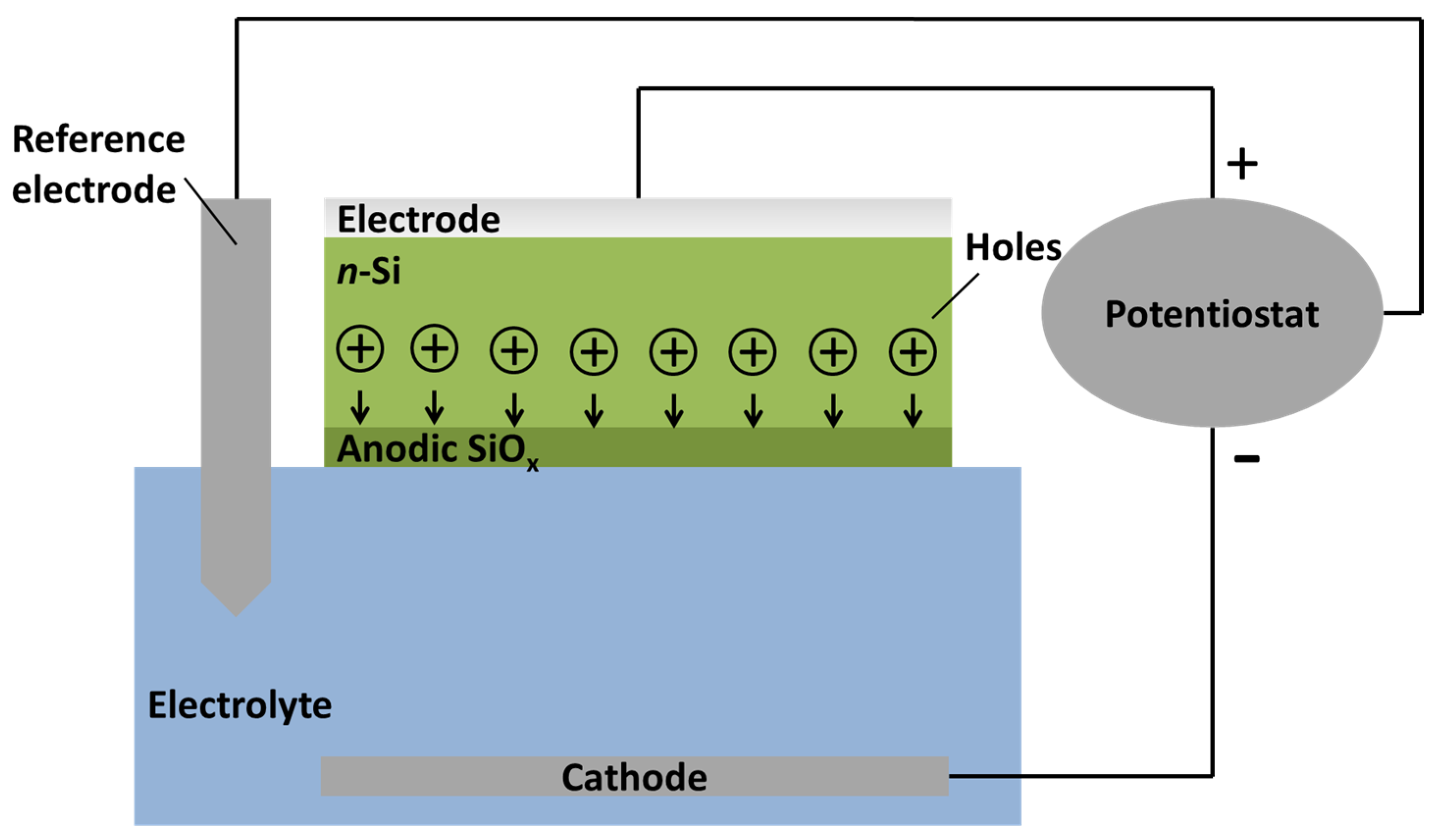 Coatings 08 00081 g001