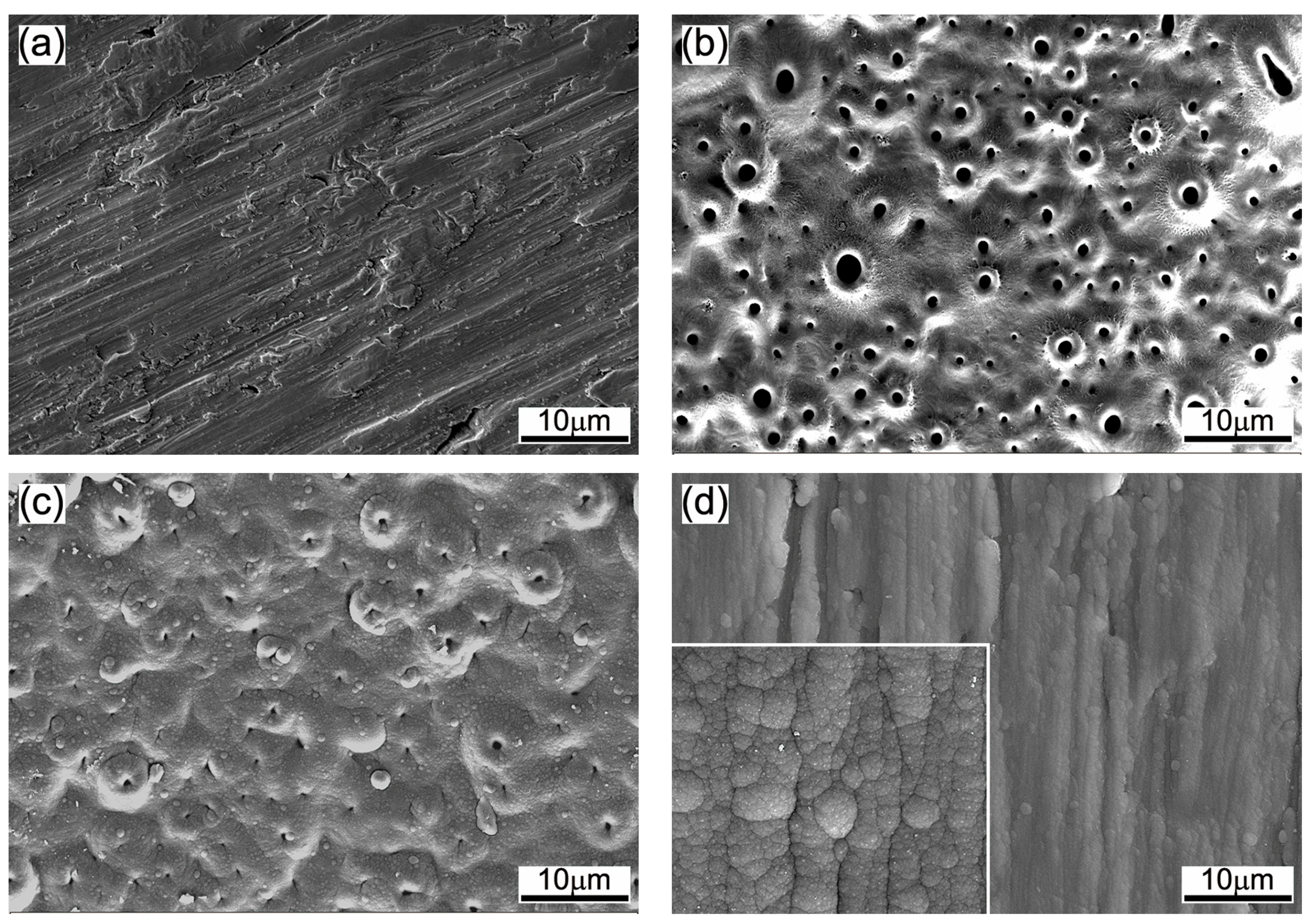 Coatings 08 00083 g001
