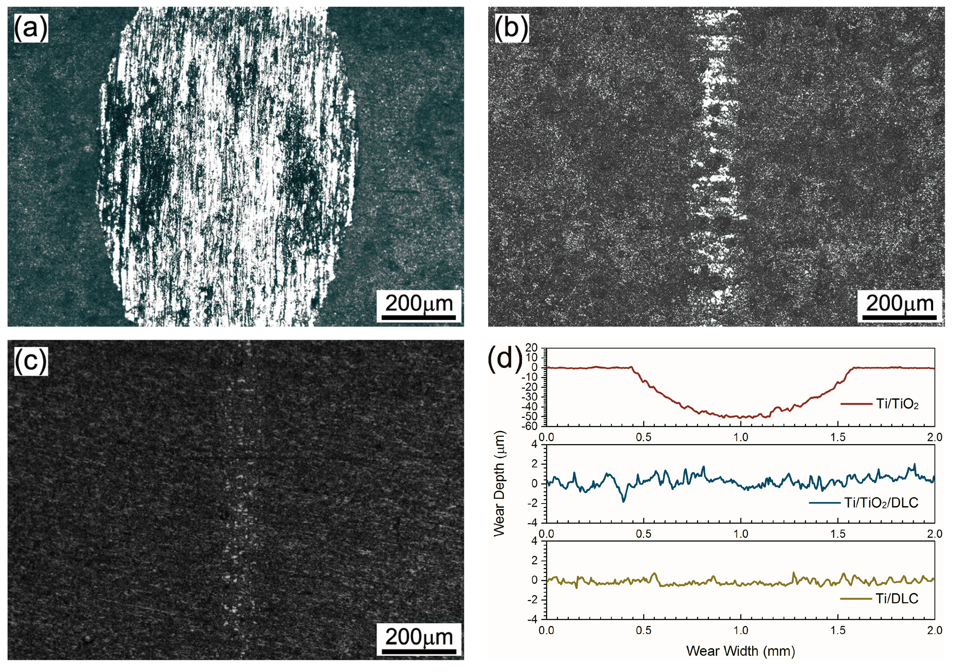 Coatings 08 00083 g005
