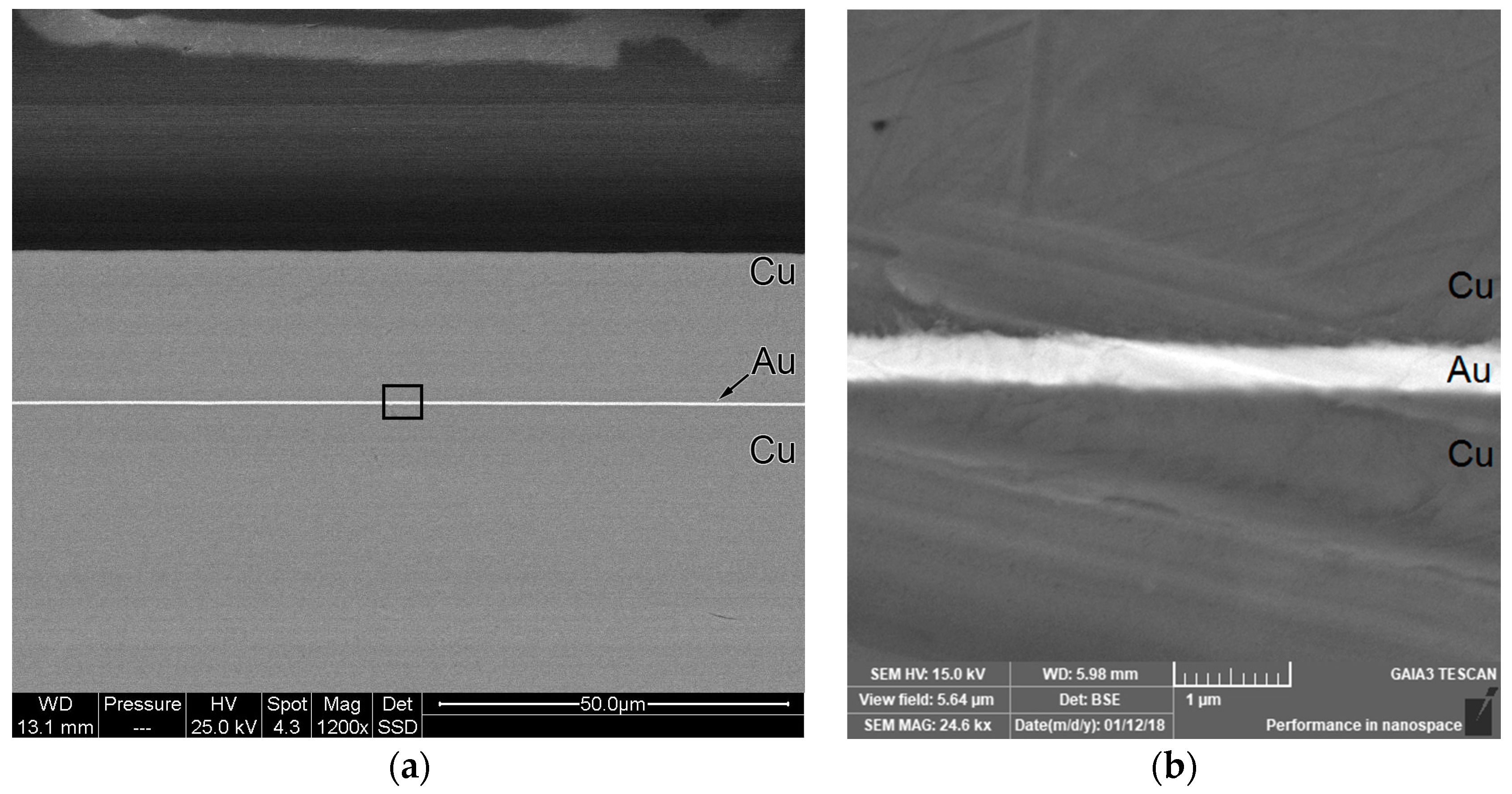 Coatings 08 00084 g002