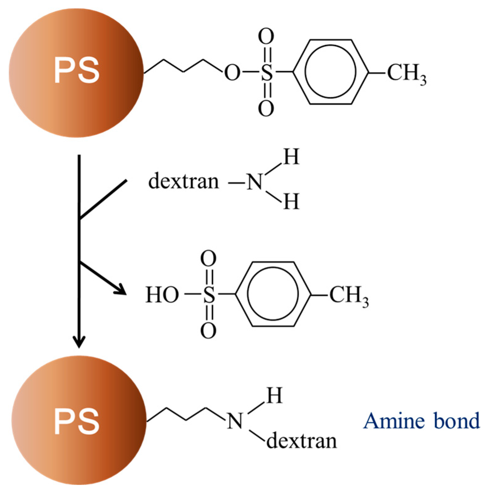 Coatings 08 00085 g001