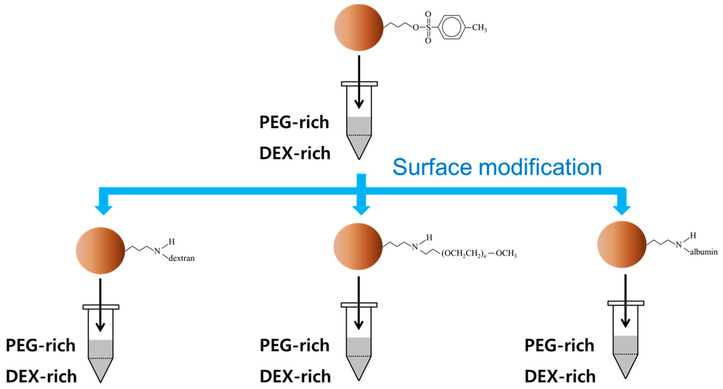 Coatings 08 00085 g002