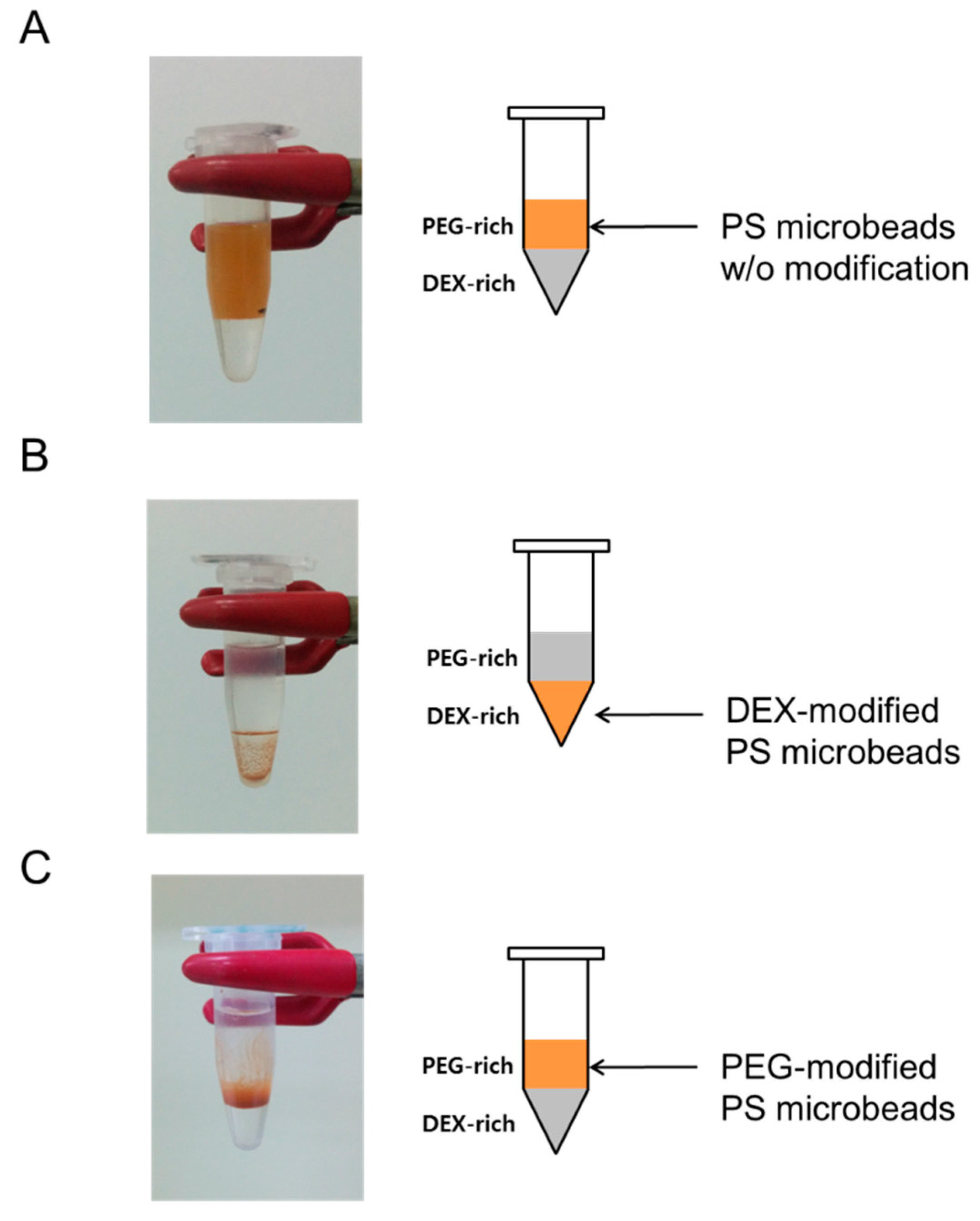 Coatings 08 00085 g005a
