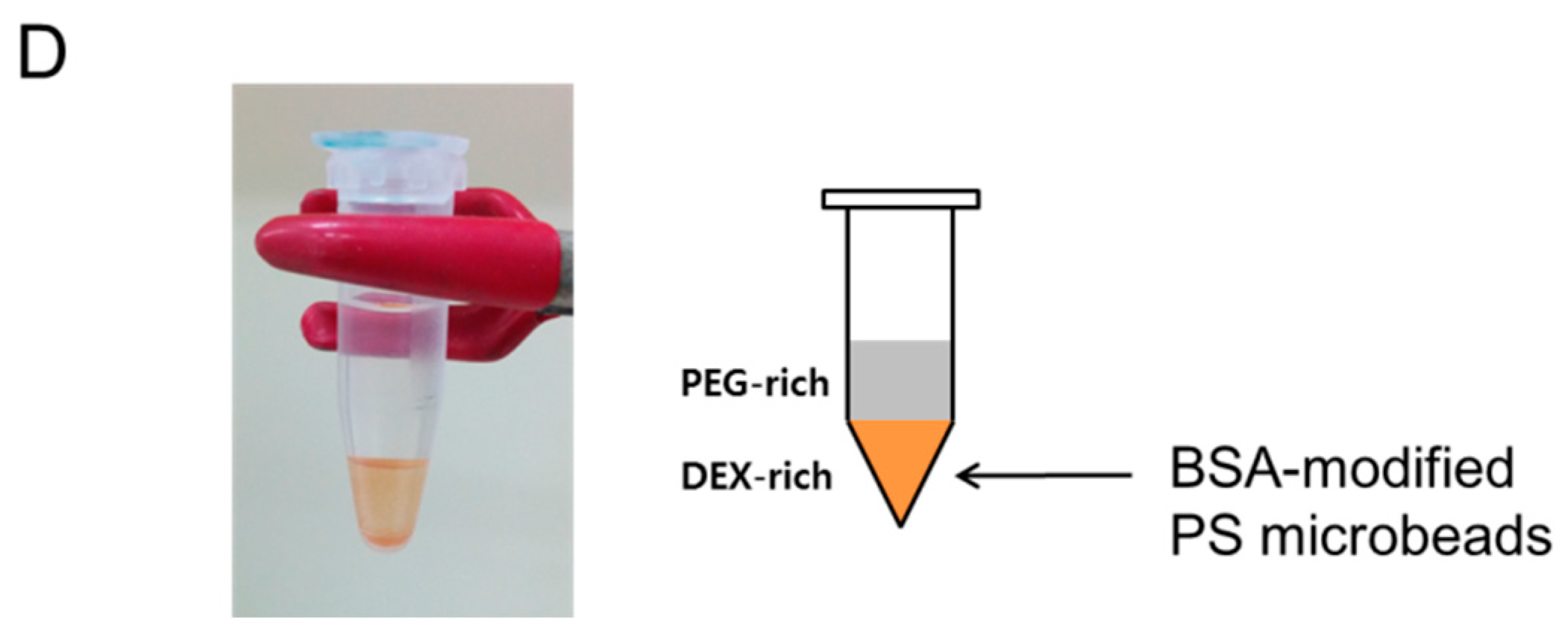 Coatings 08 00085 g005b
