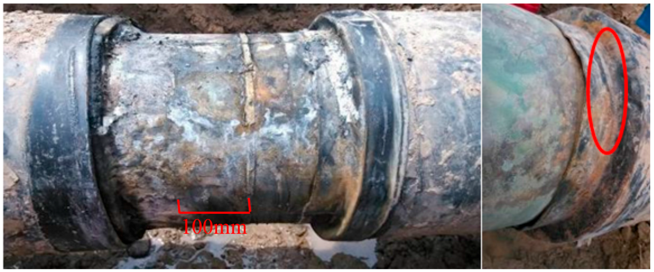 Coatings 08 00086 g001