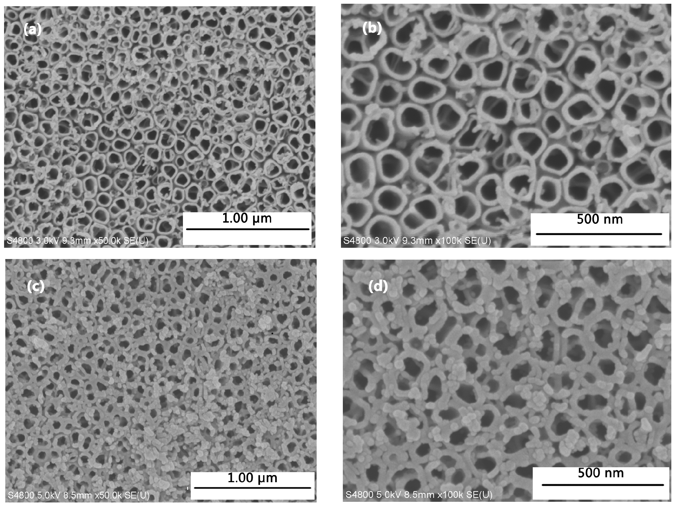 Coatings 08 00090 g002