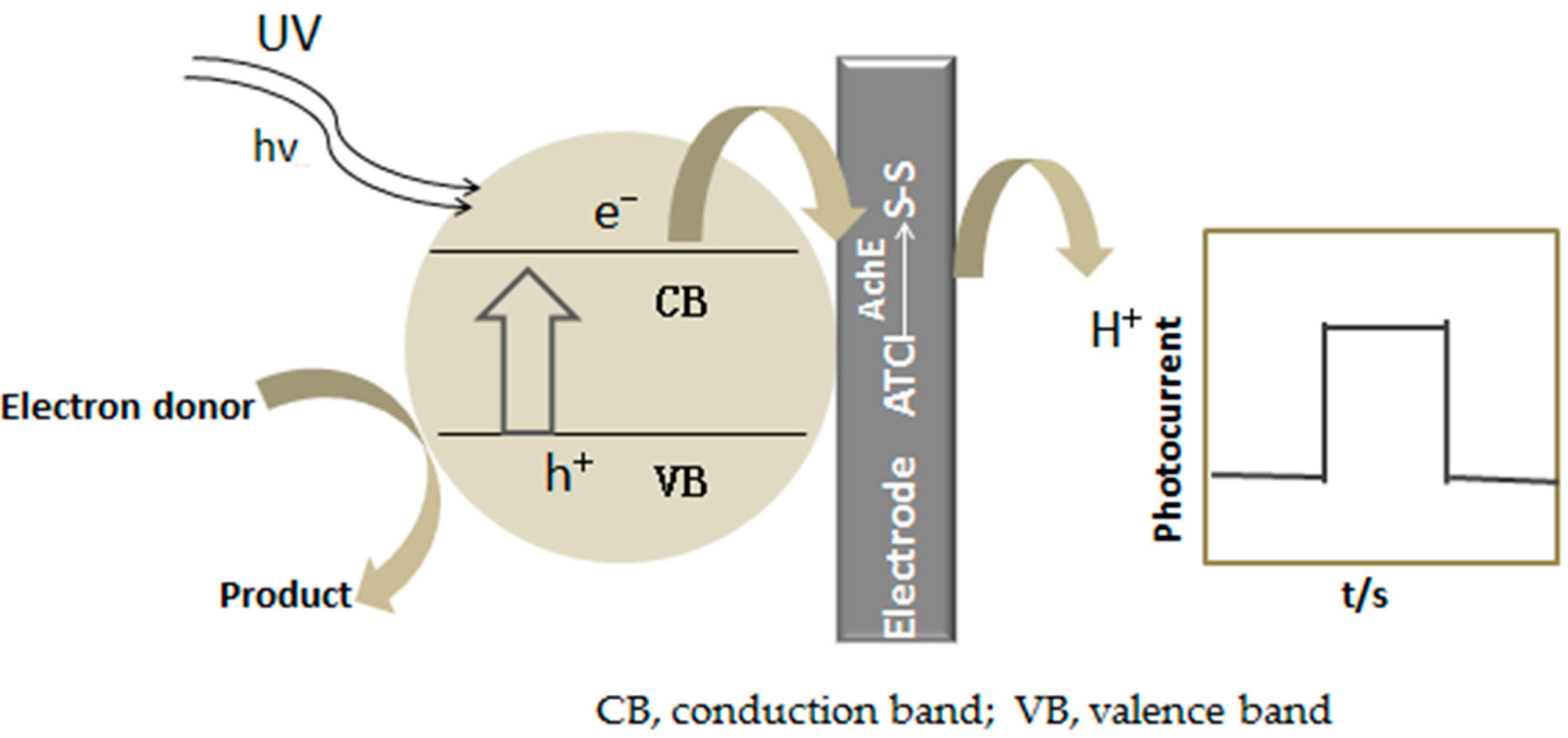 Coatings 08 00090 sch001