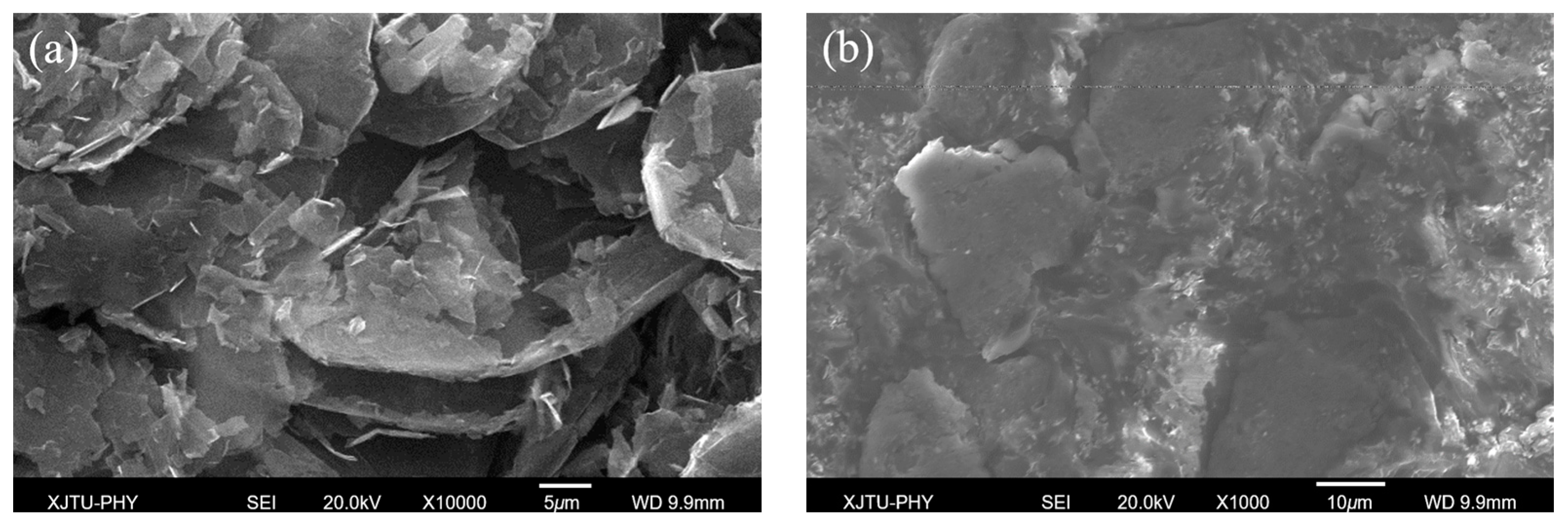 Coatings 08 00091 g001