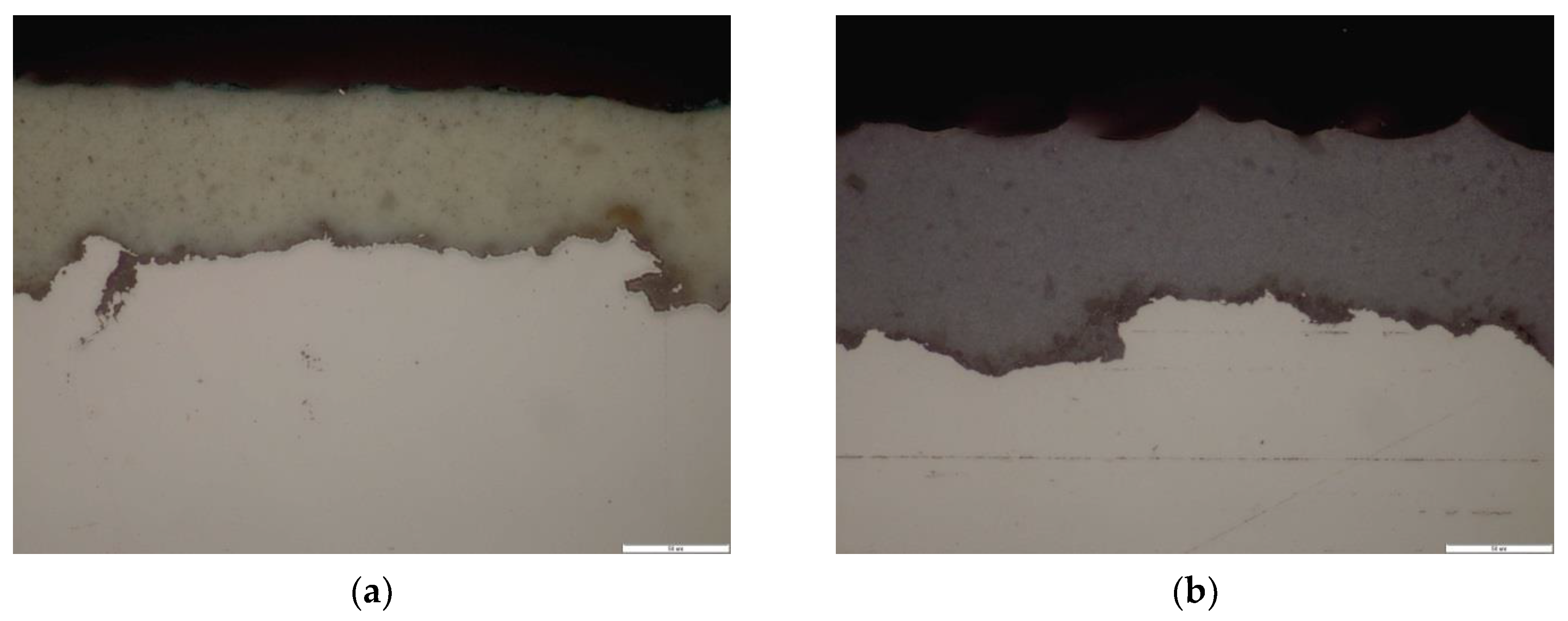 Coatings 08 00098 g005