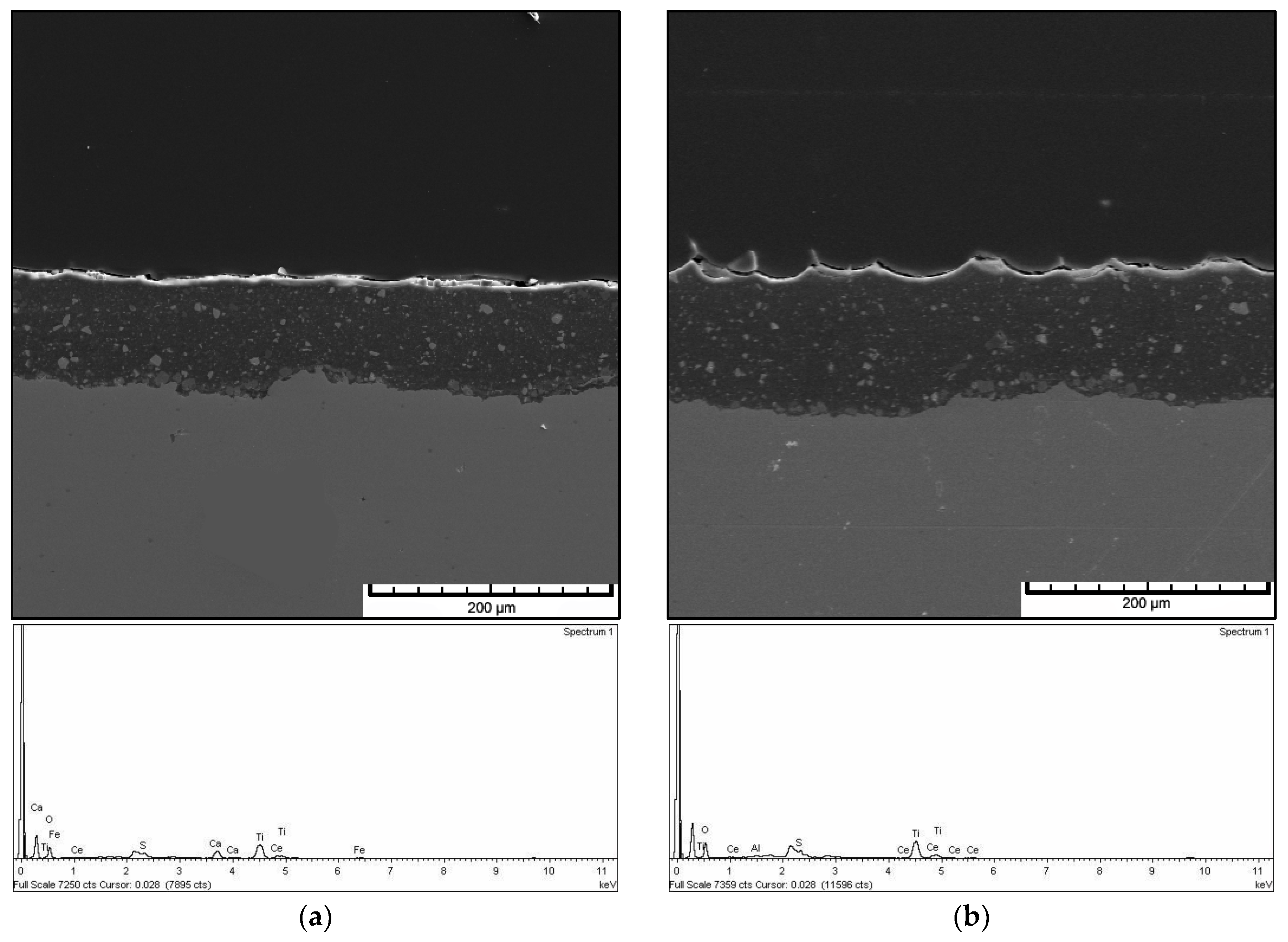 Coatings 08 00098 g006