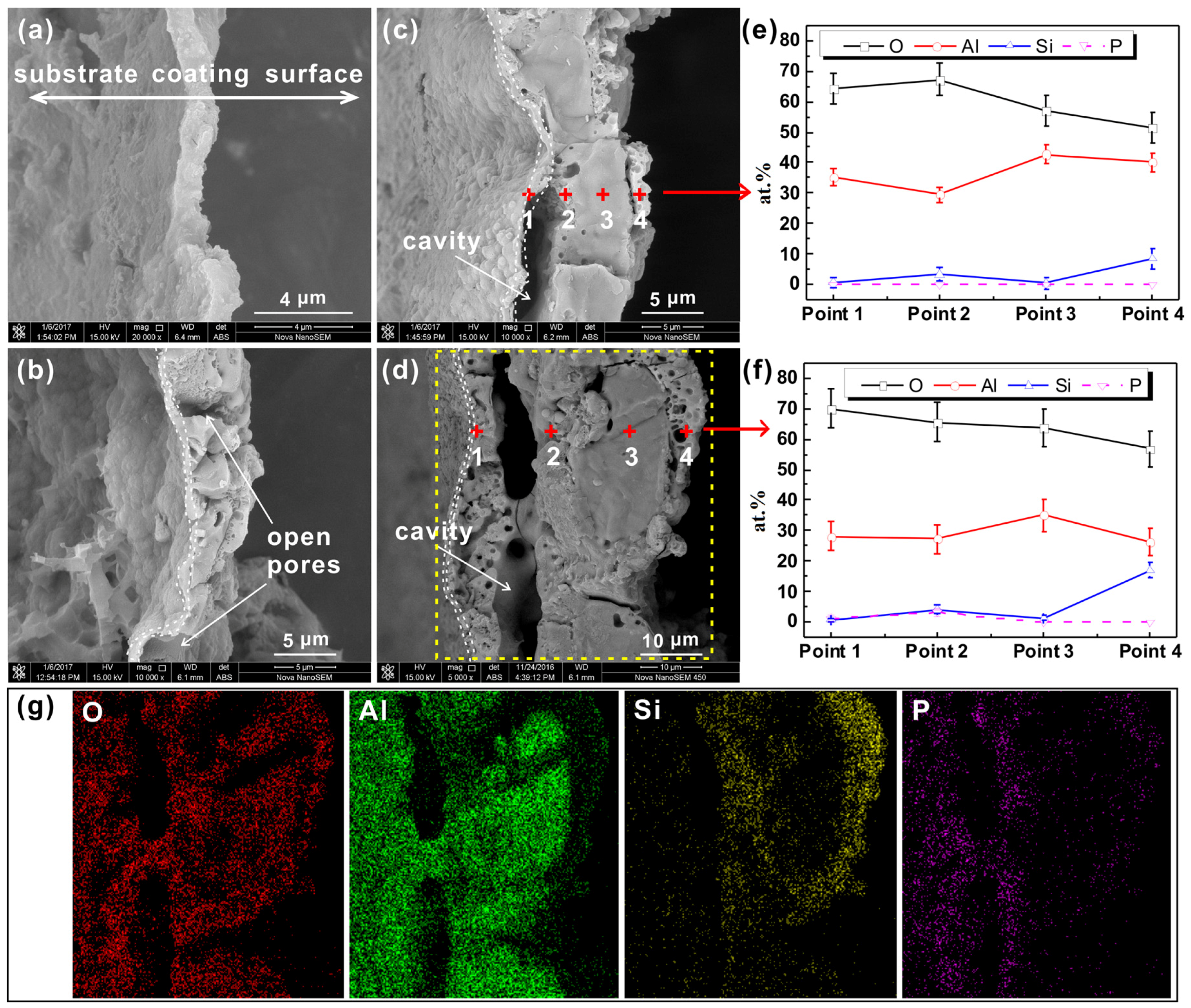 Coatings 08 00105 g001
