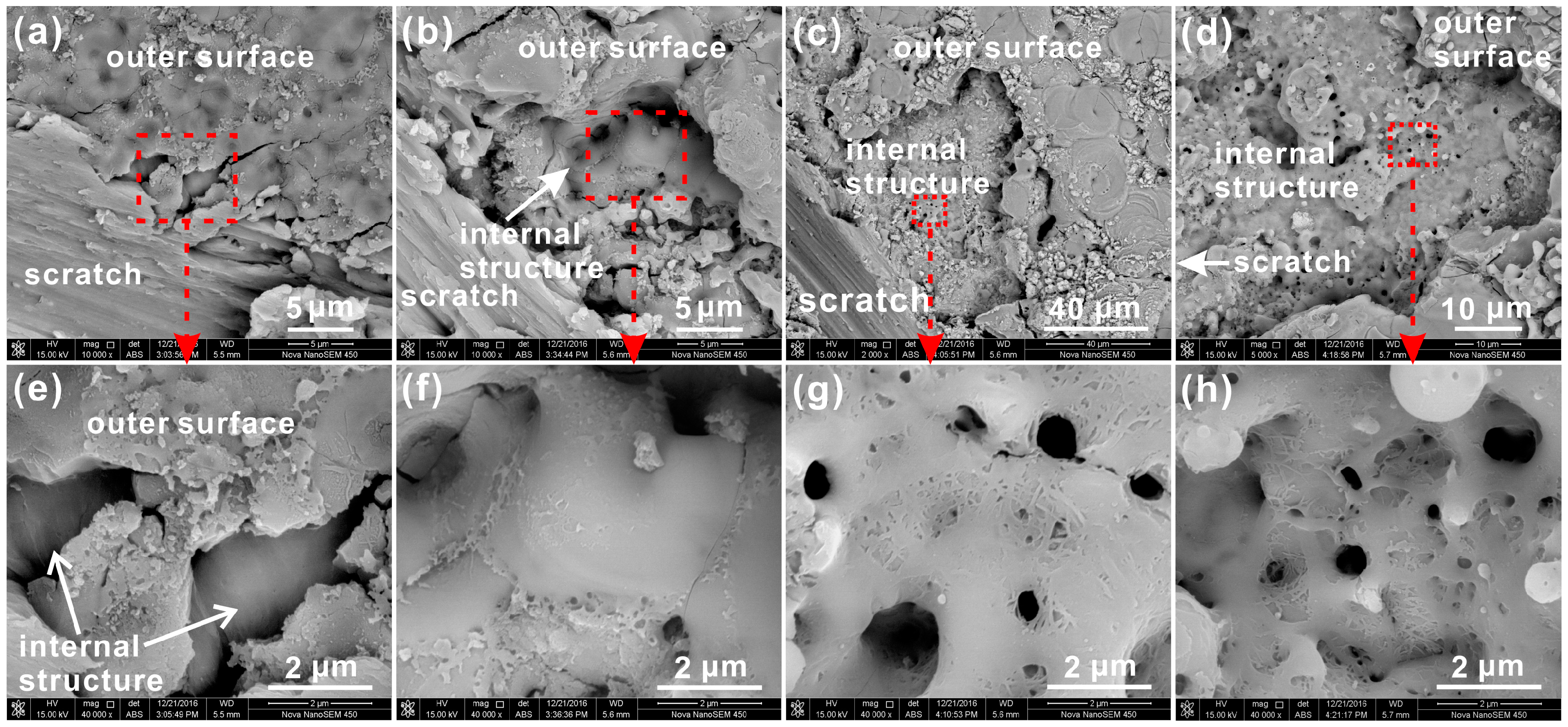 Coatings 08 00105 g005