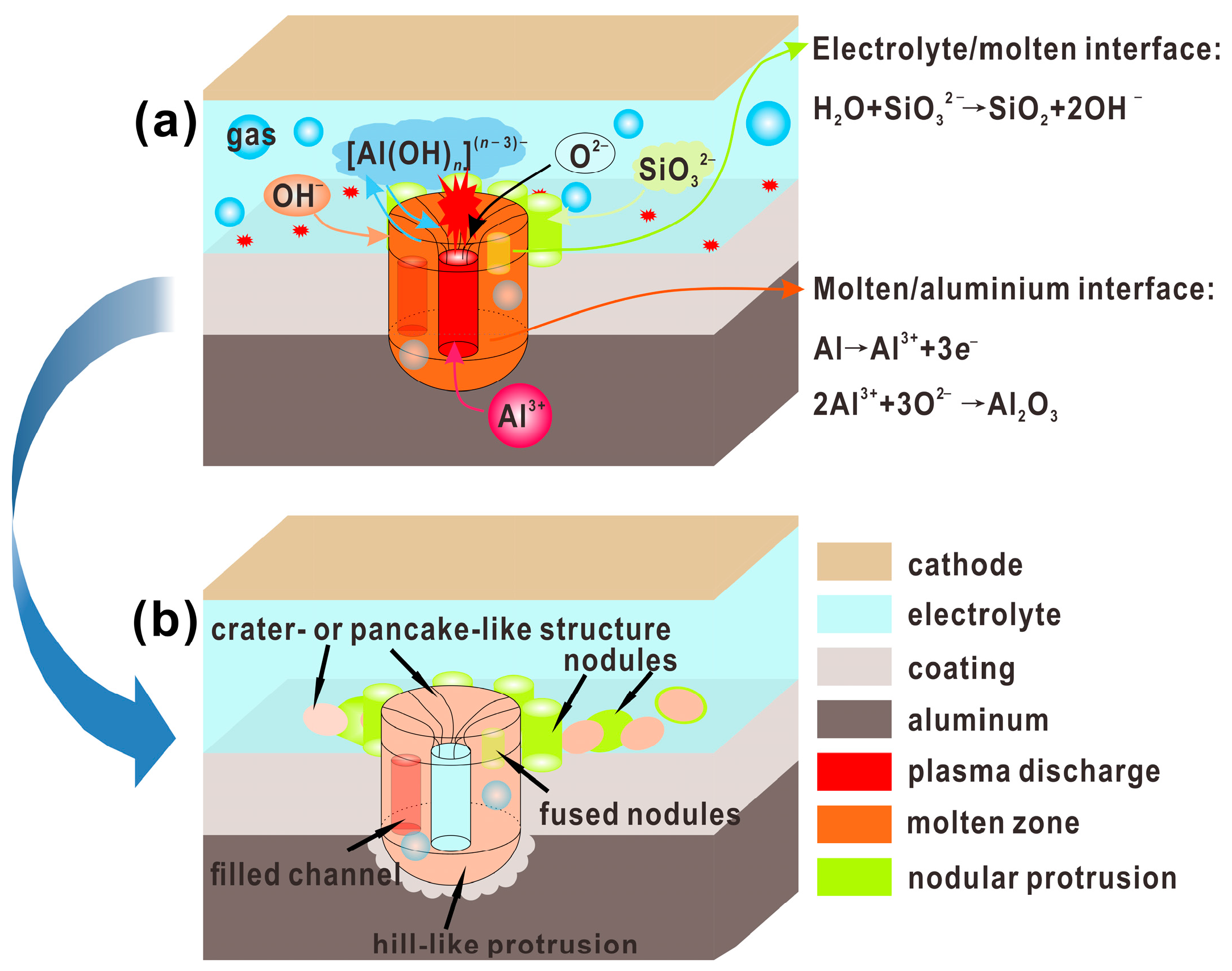 Coatings 08 00105 g007