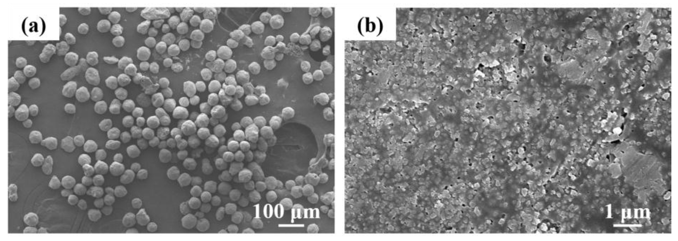 Coatings 08 00106 g001