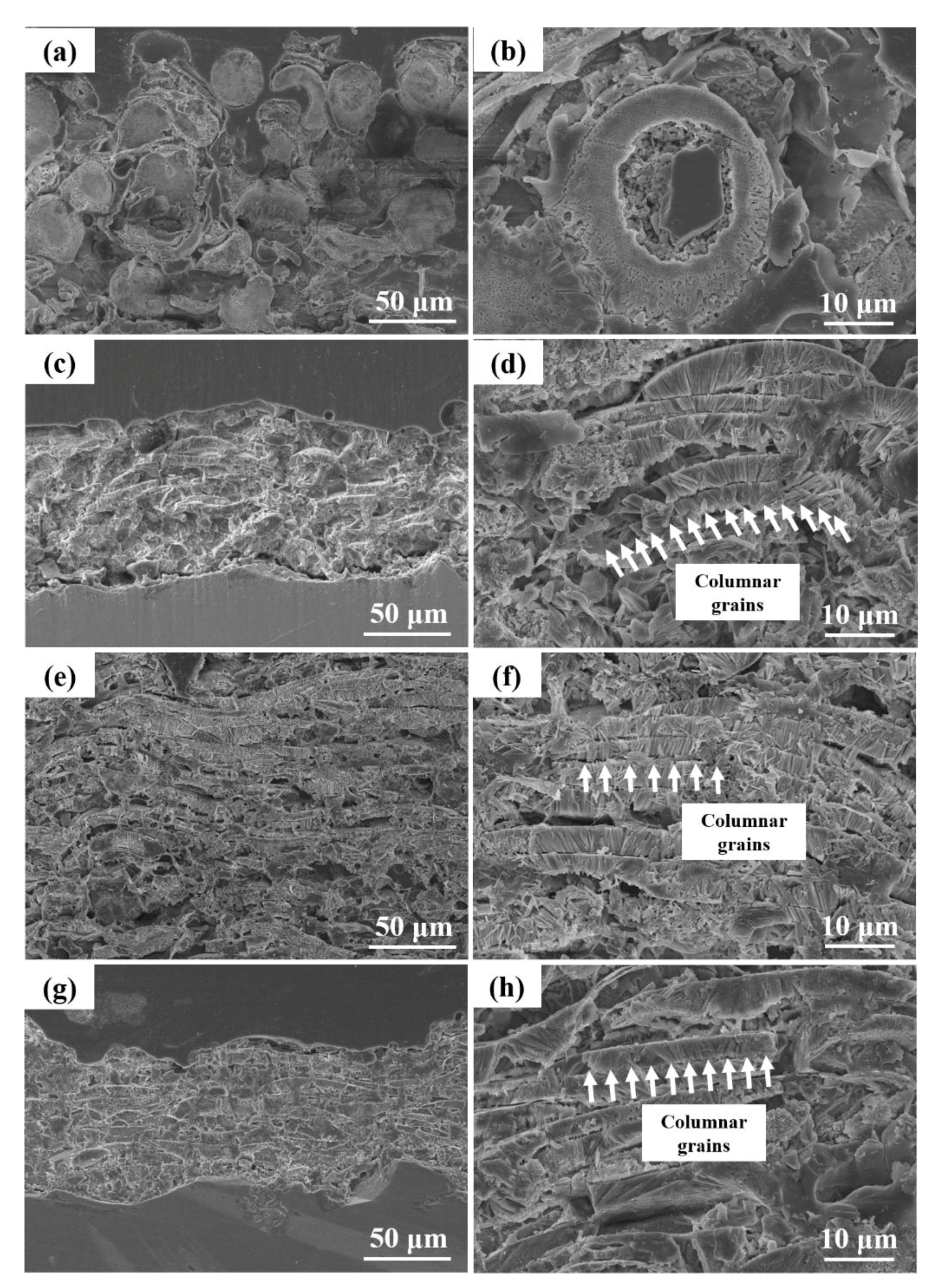 Coatings 08 00106 g007