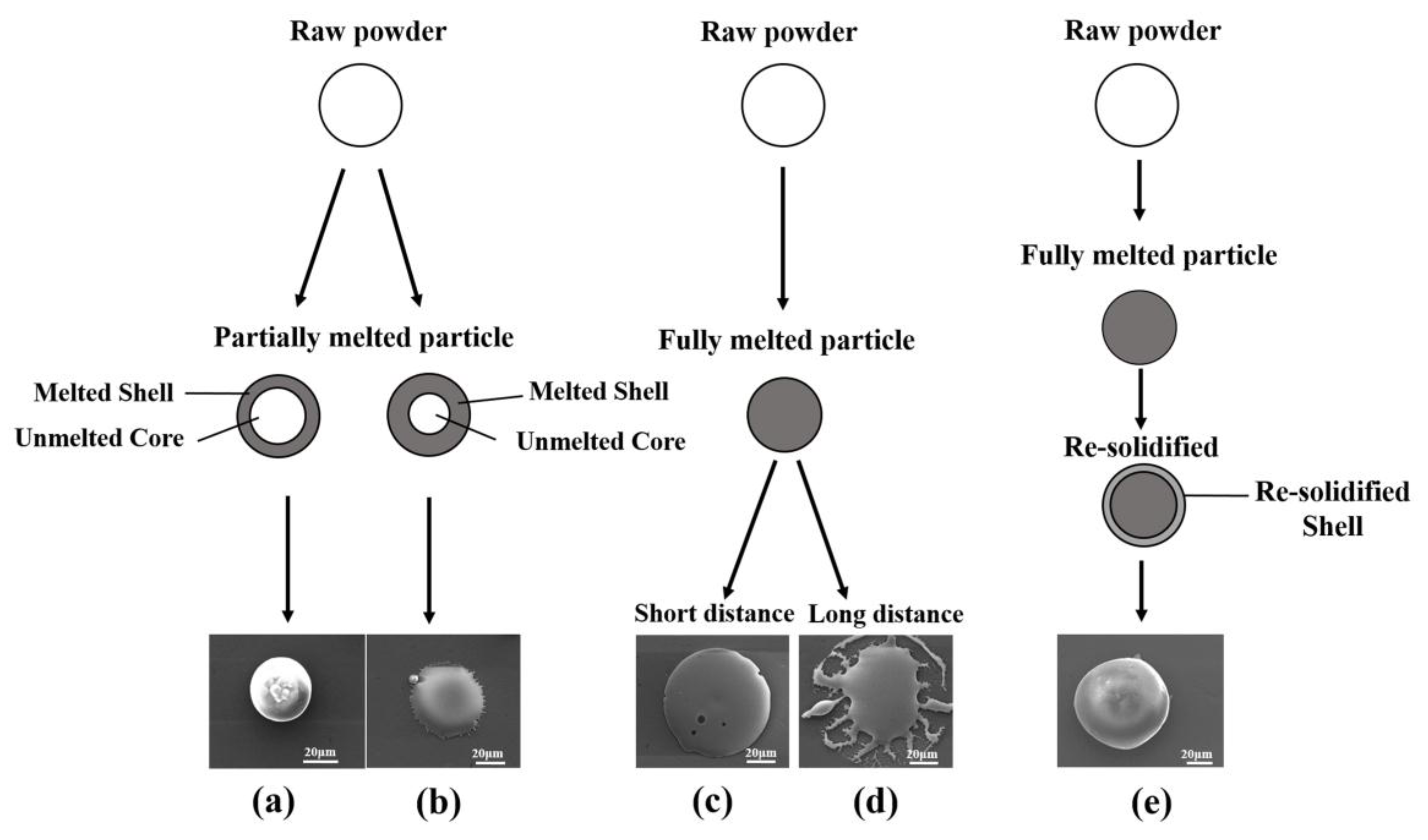 Coatings 08 00106 g009