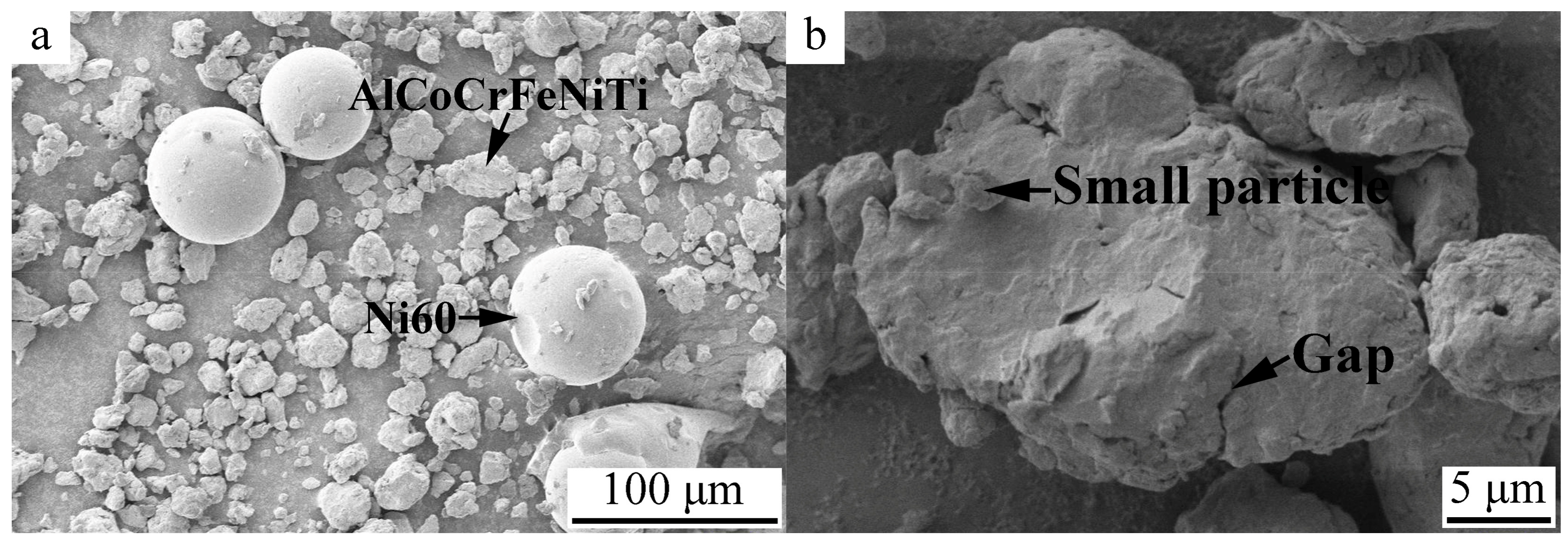 Coatings 08 00112 g002