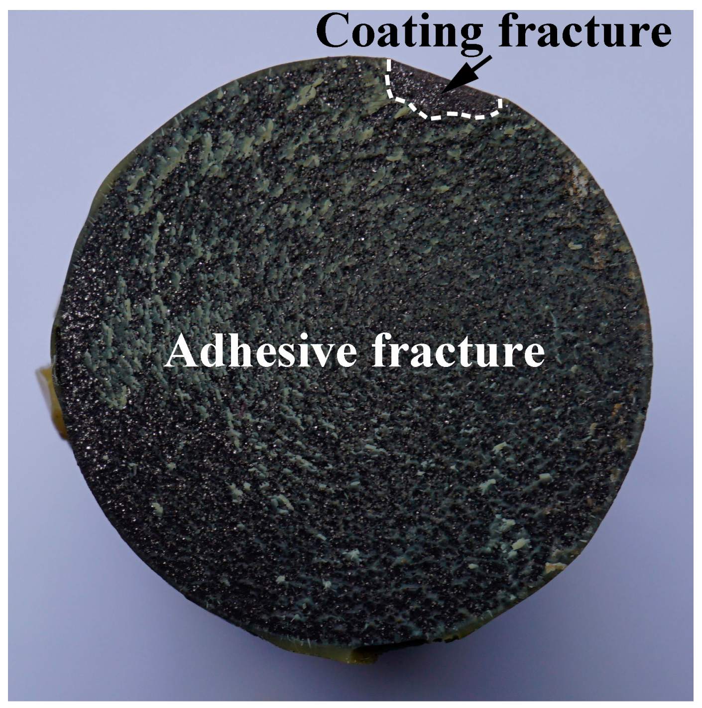Coatings 08 00112 g005