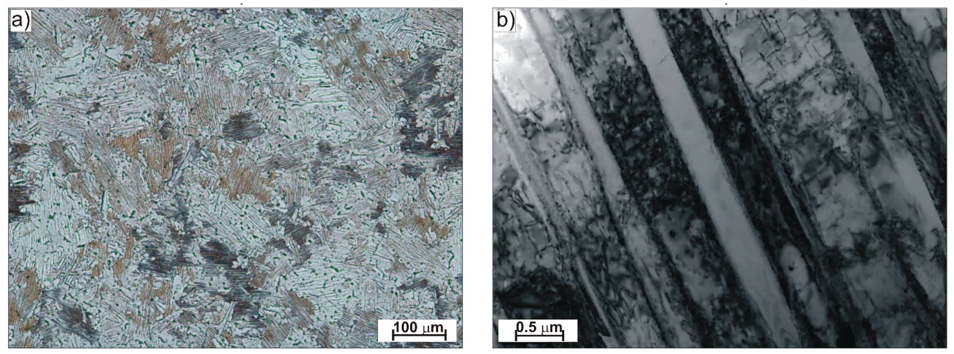 Coatings 08 00113 g001
