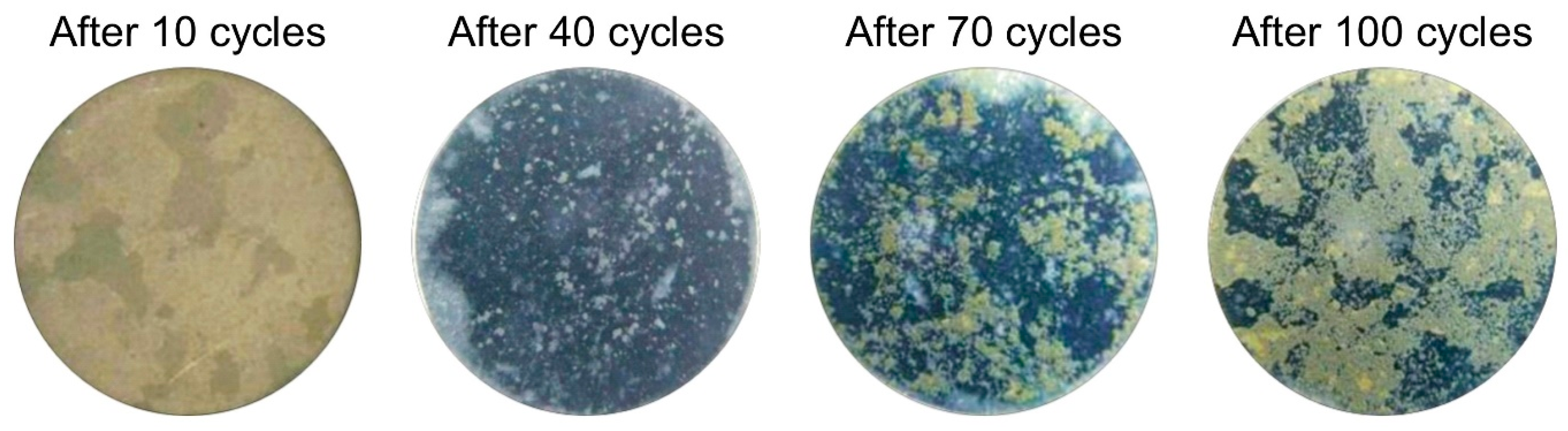 Coatings 08 00113 g012