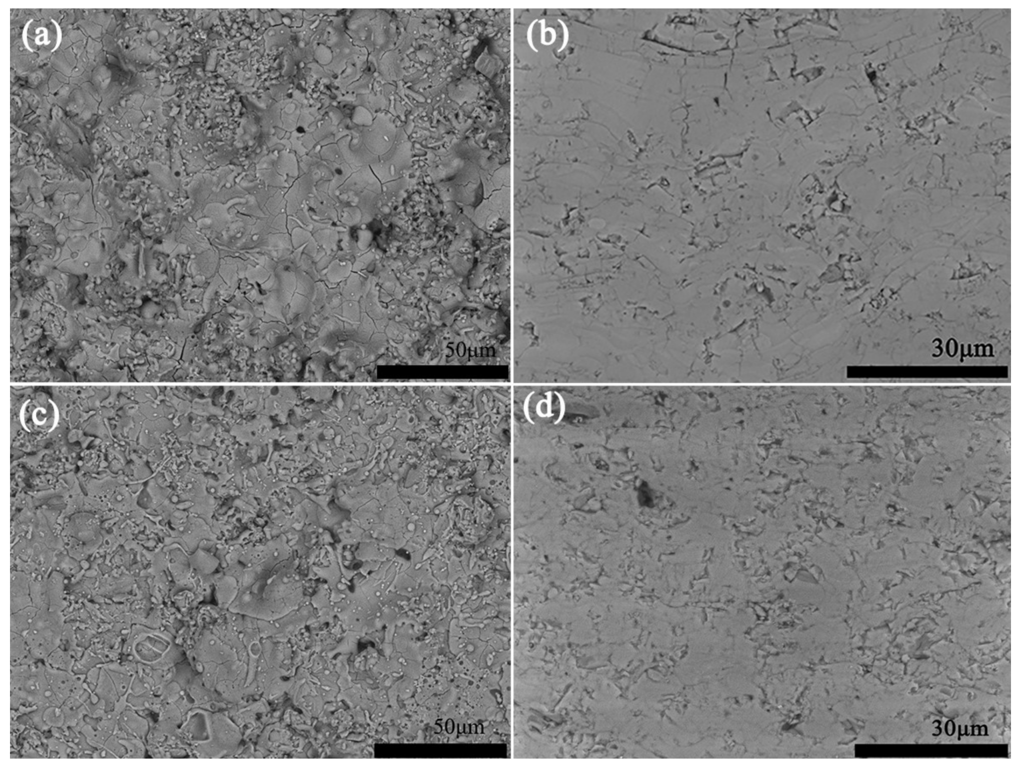 Coatings 08 00116 g003