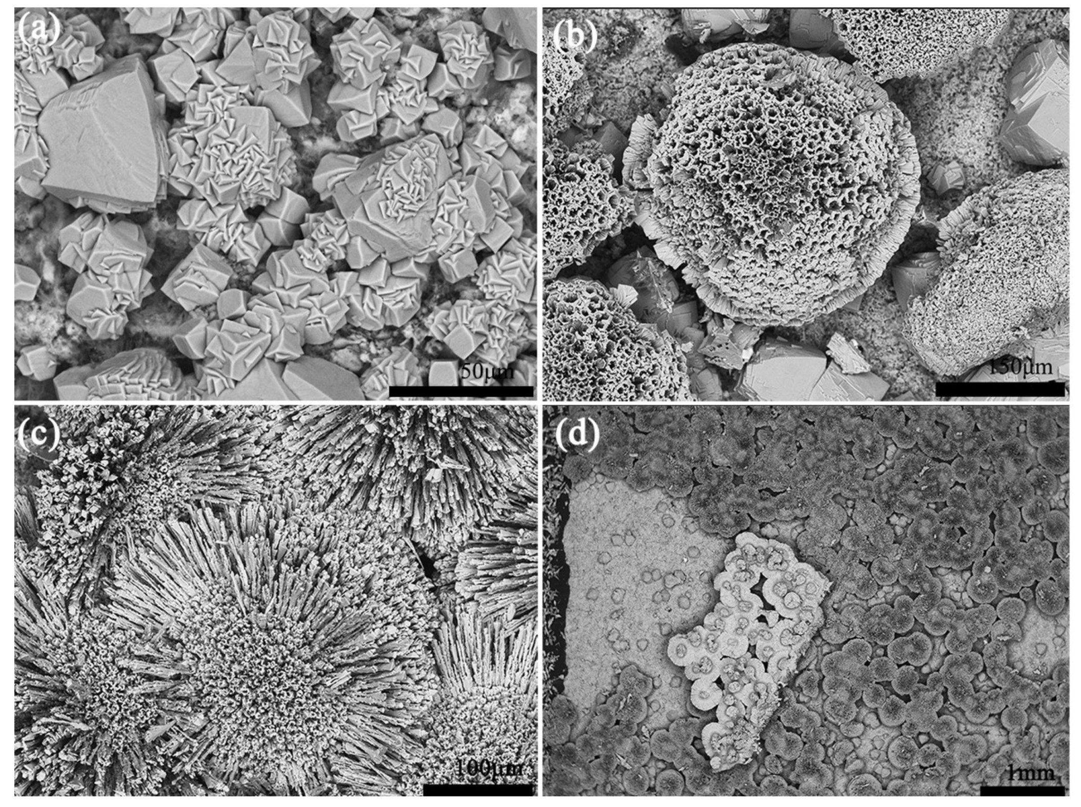 Coatings 08 00116 g004