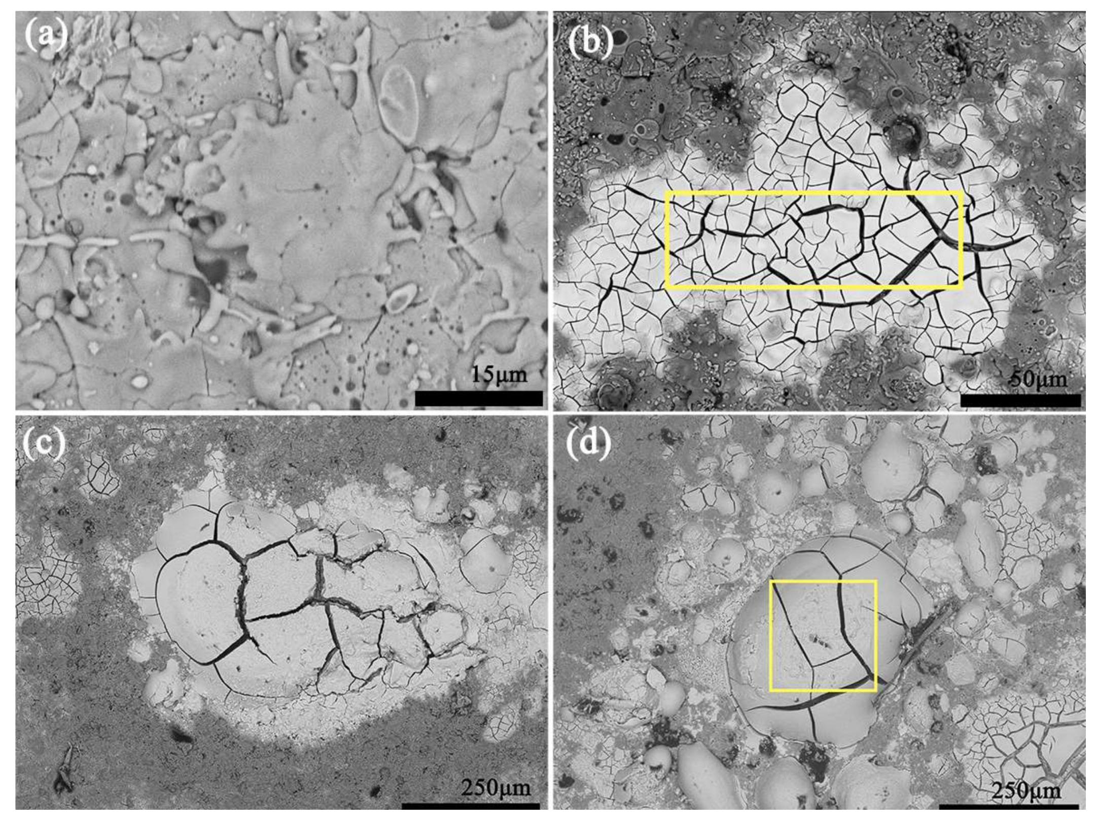 Coatings 08 00116 g006