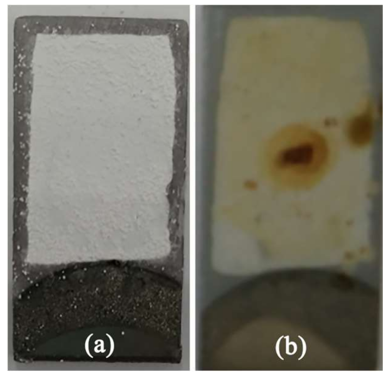 Coatings 08 00116 g007