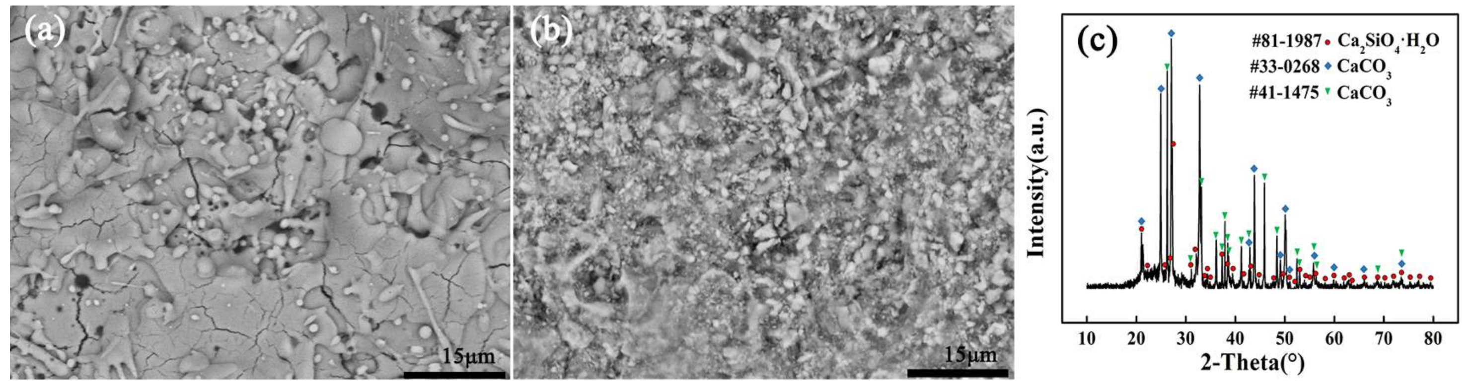 Coatings 08 00116 g010