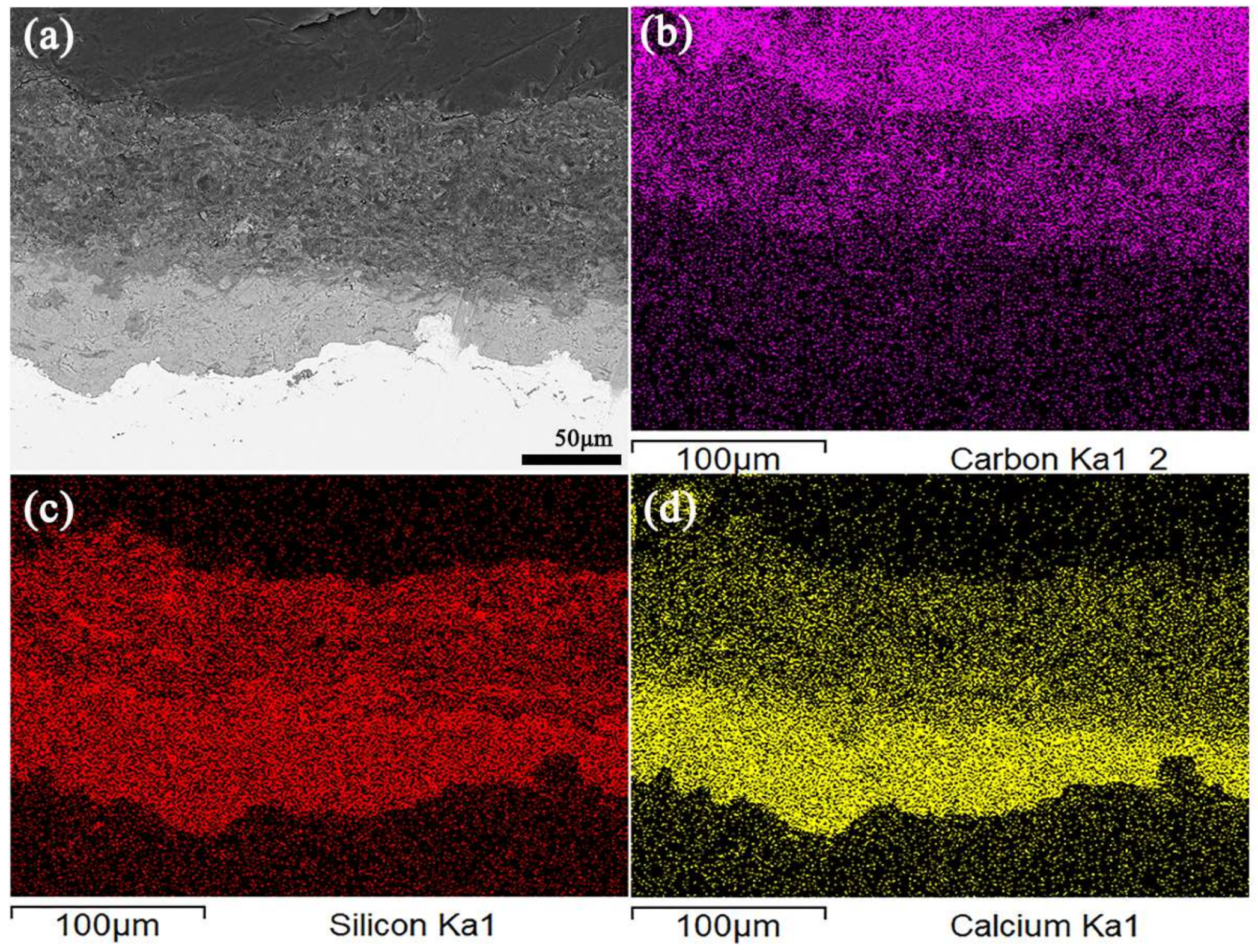 Coatings 08 00116 g011