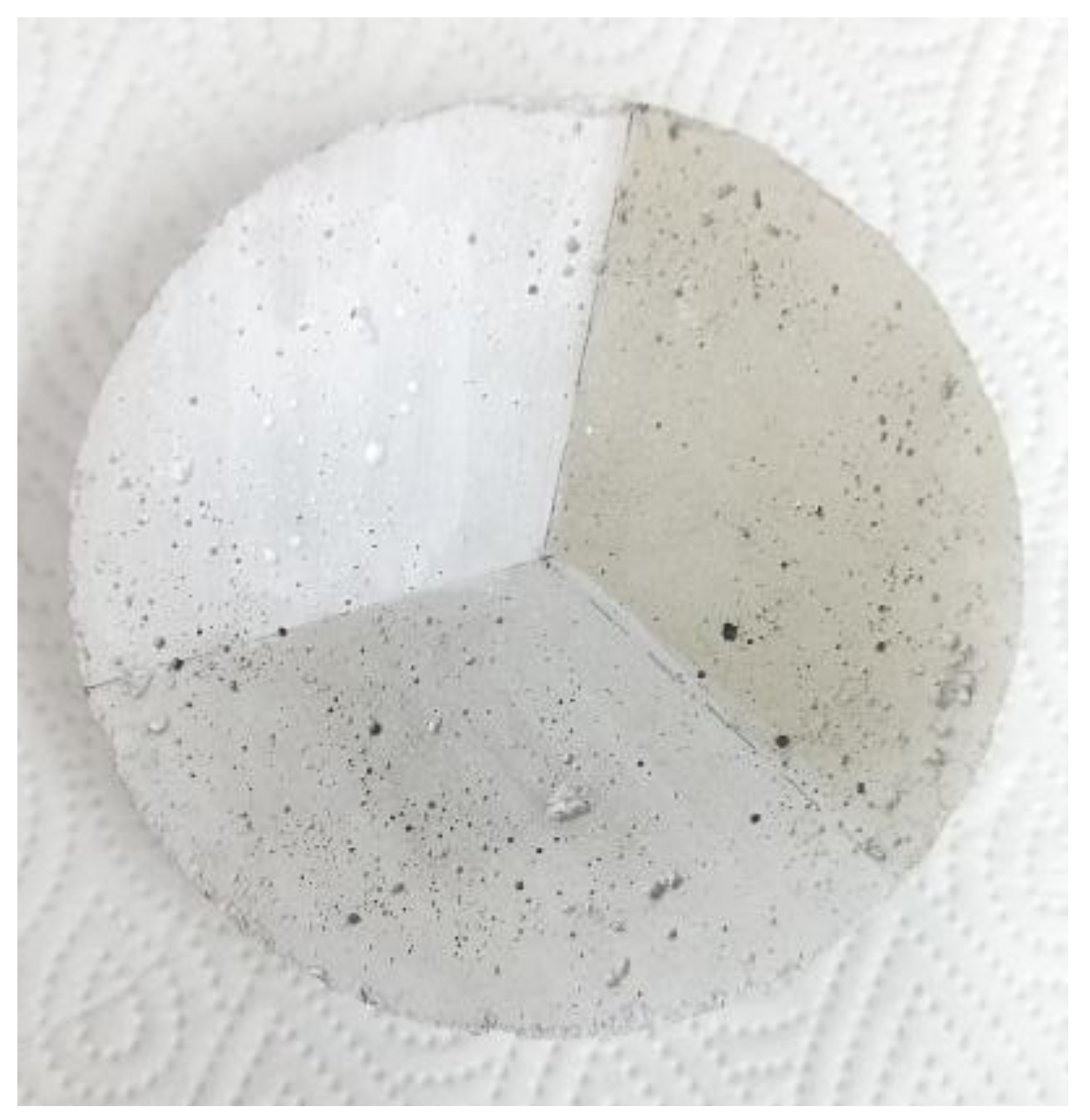 Coatings 08 00120 g001