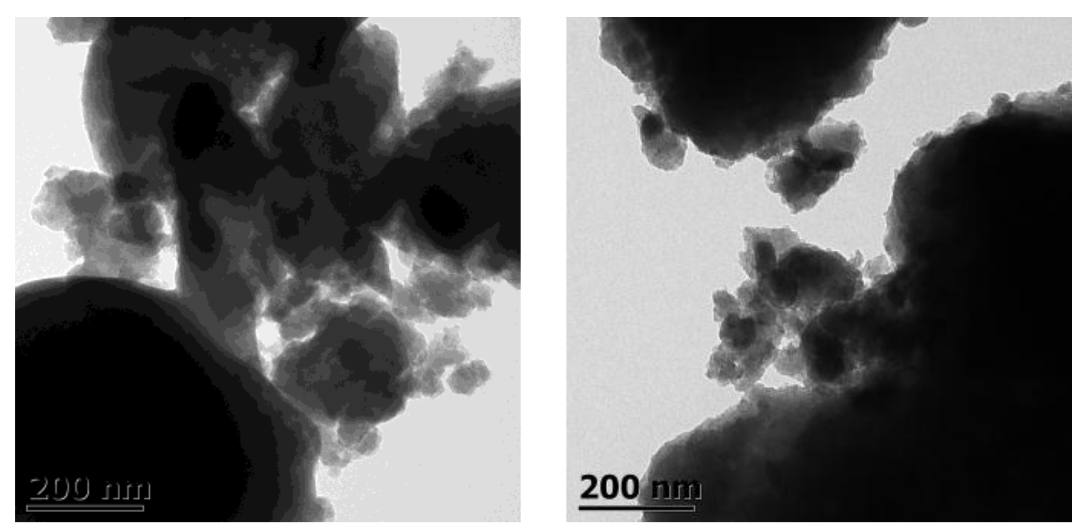 Coatings 08 00120 g003