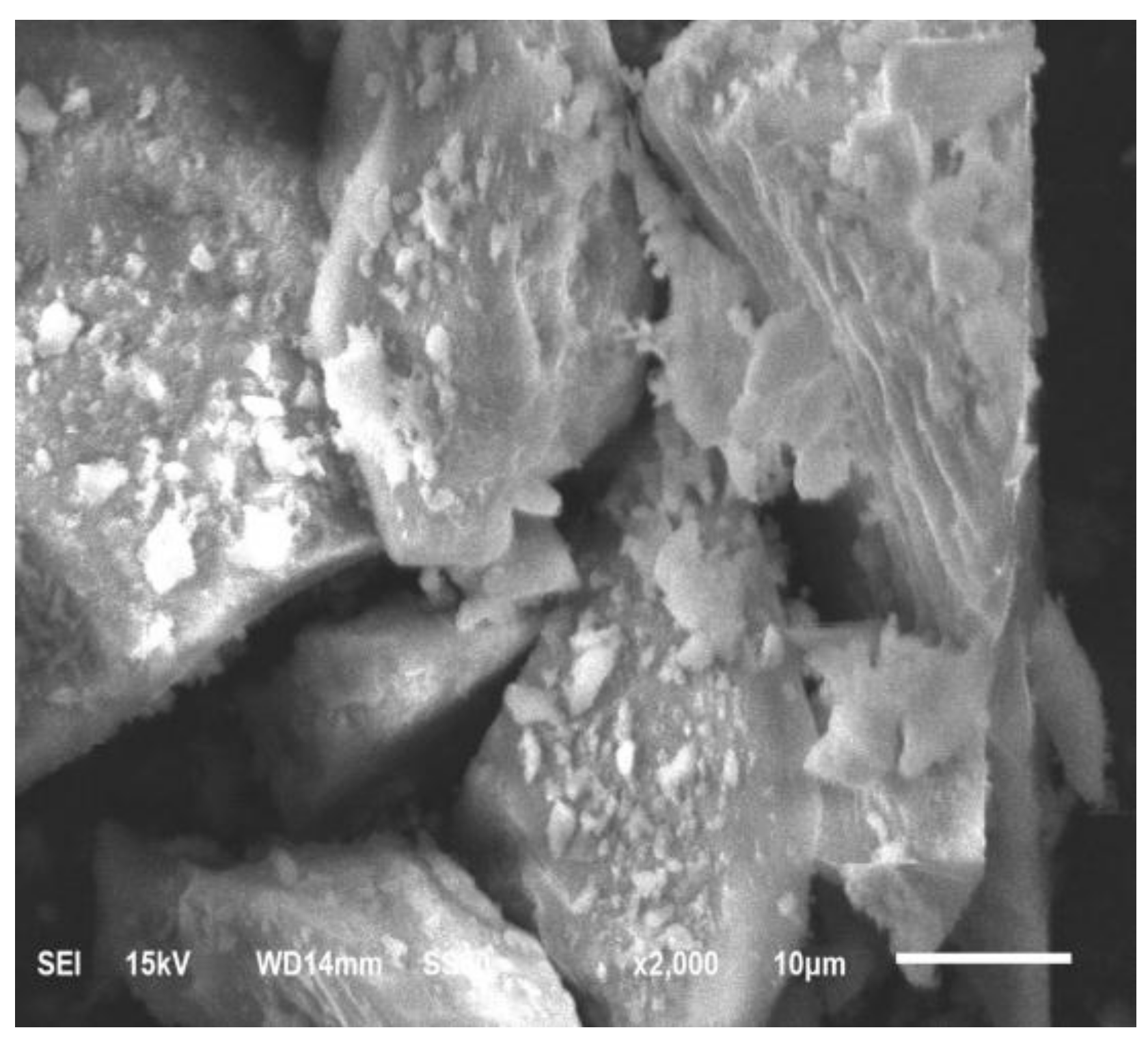 Coatings 08 00120 g004