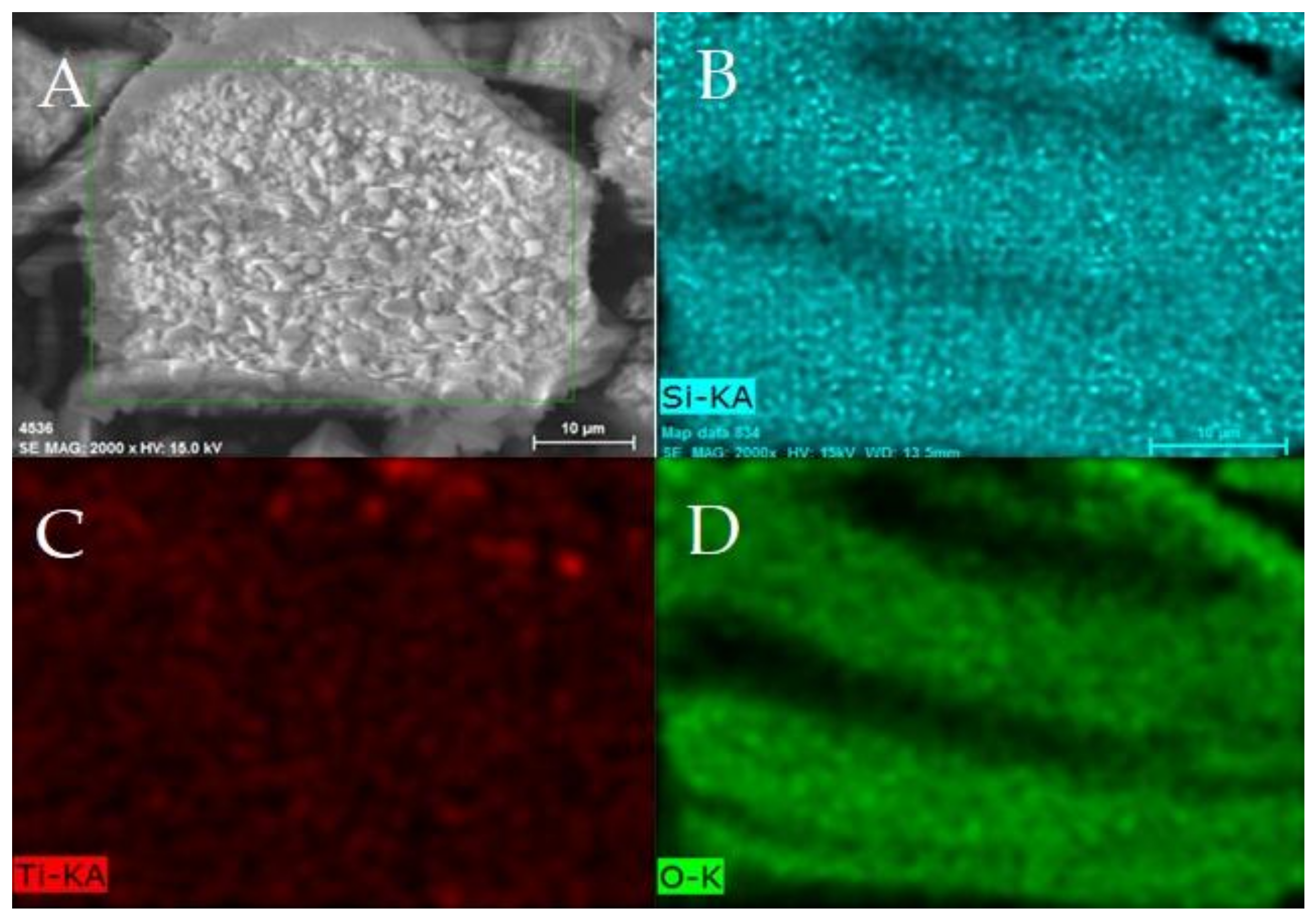Coatings 08 00120 g005