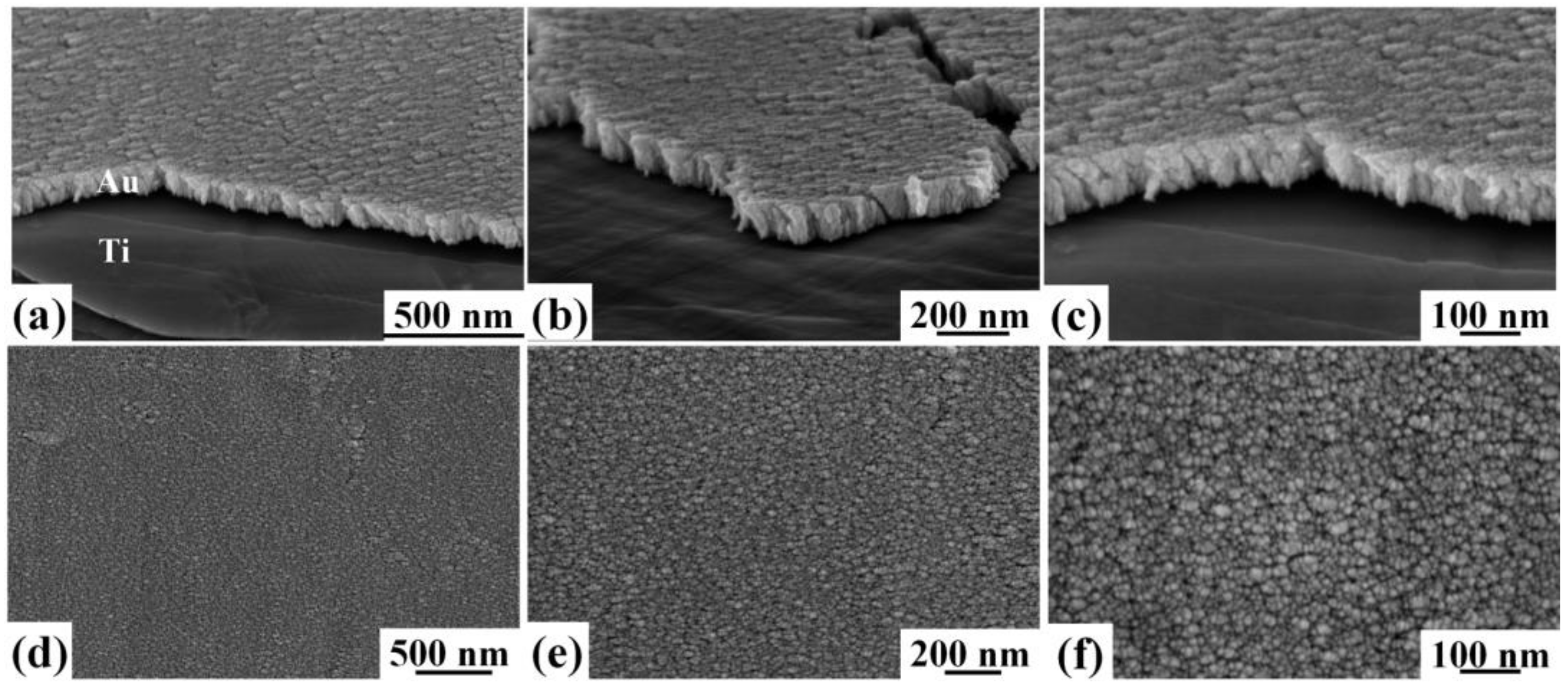 Coatings 08 00121 g004