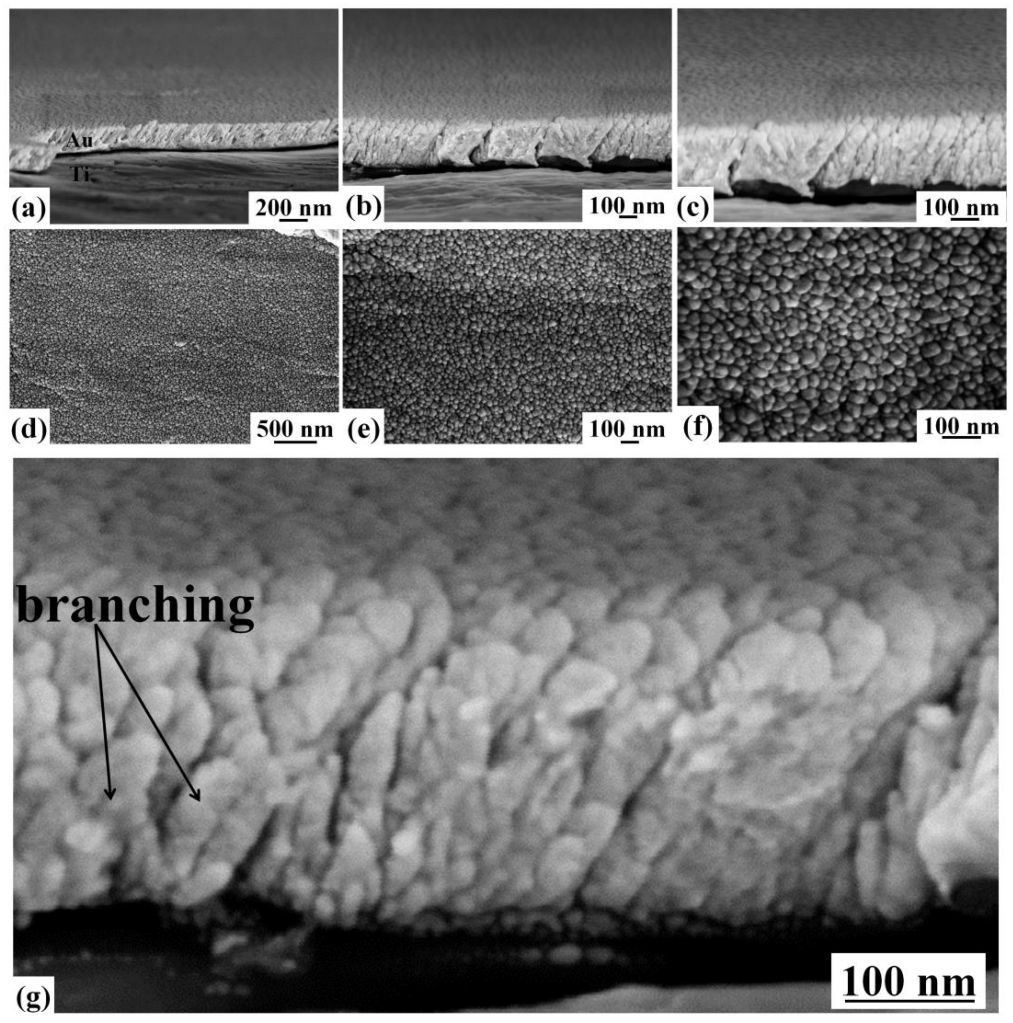 Coatings 08 00121 g005