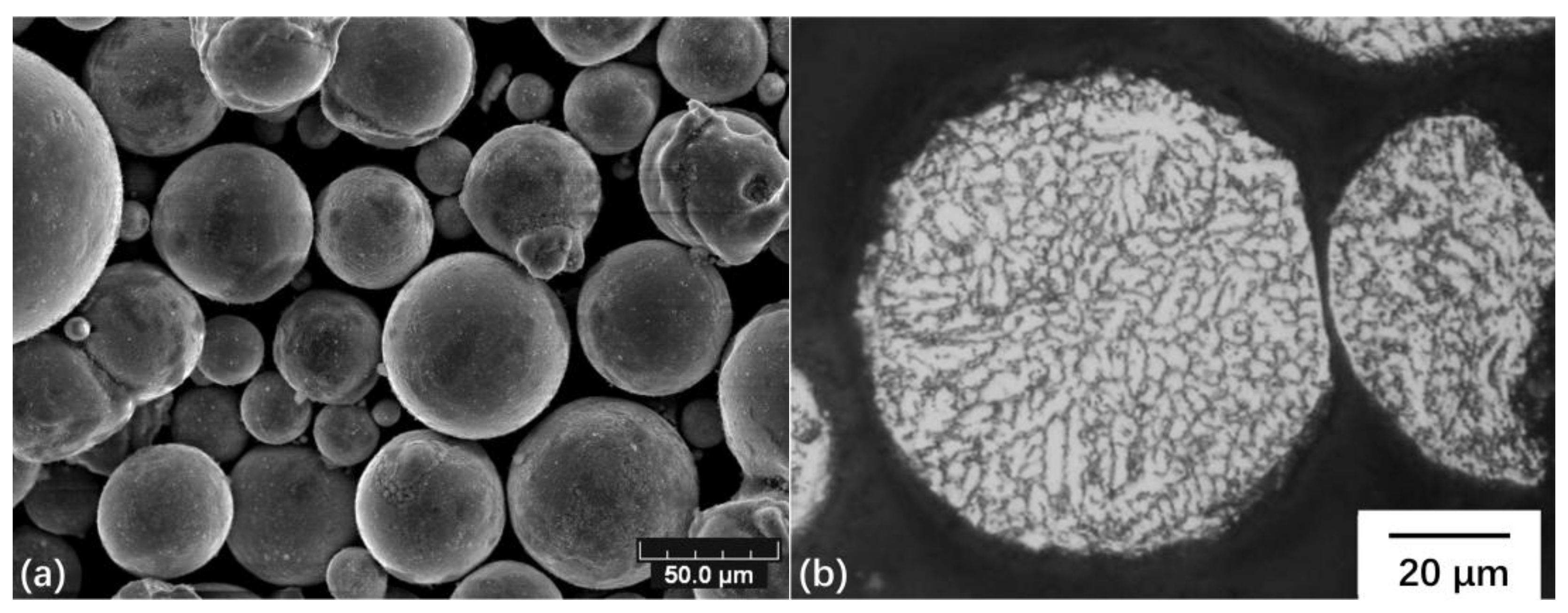 Coatings 08 00122 g001a