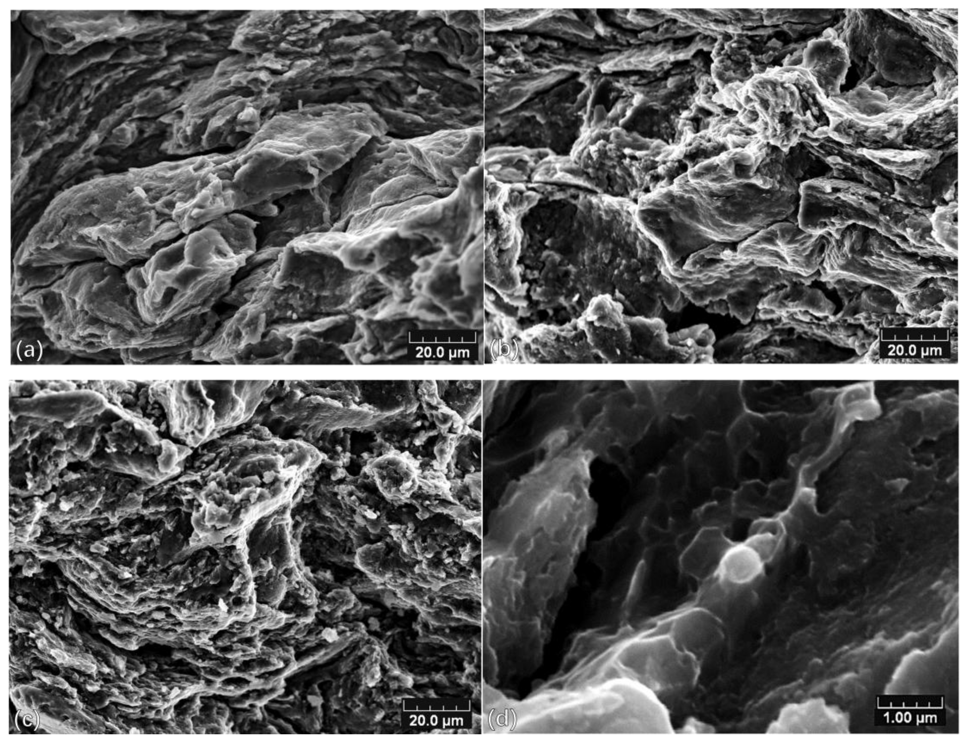 Coatings 08 00122 g006