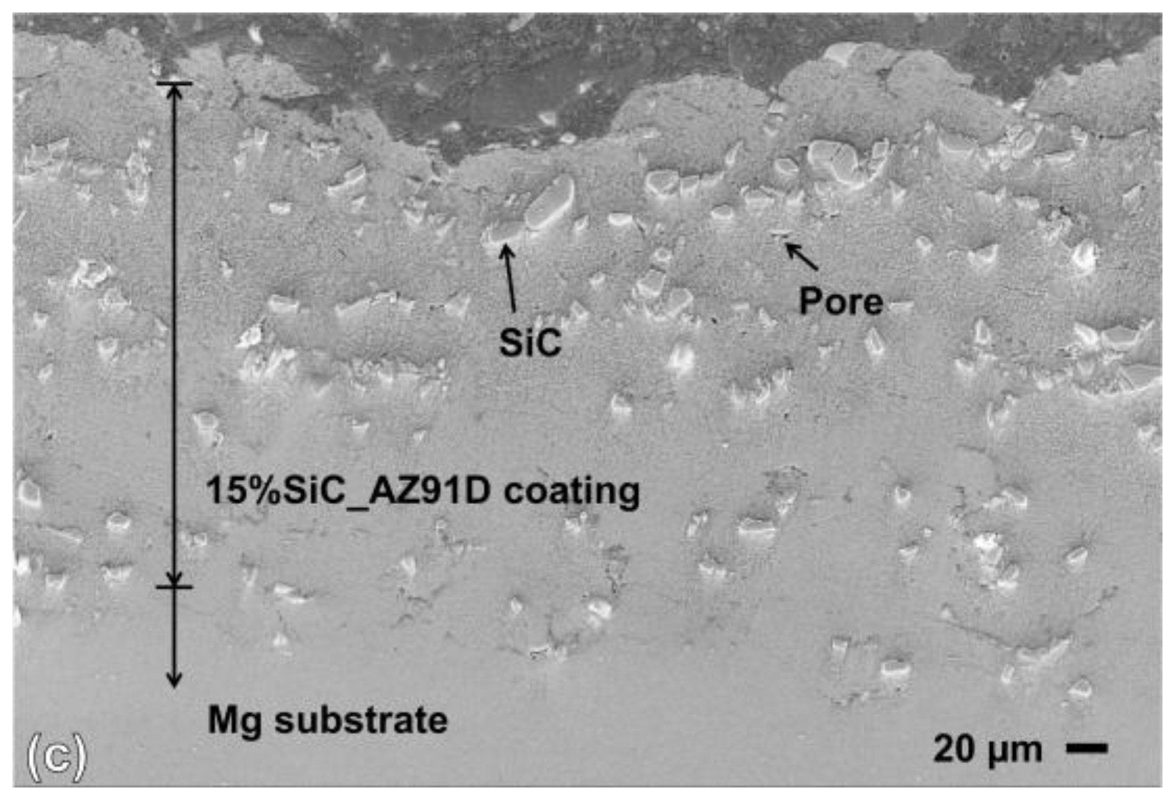Coatings 08 00122 g008b