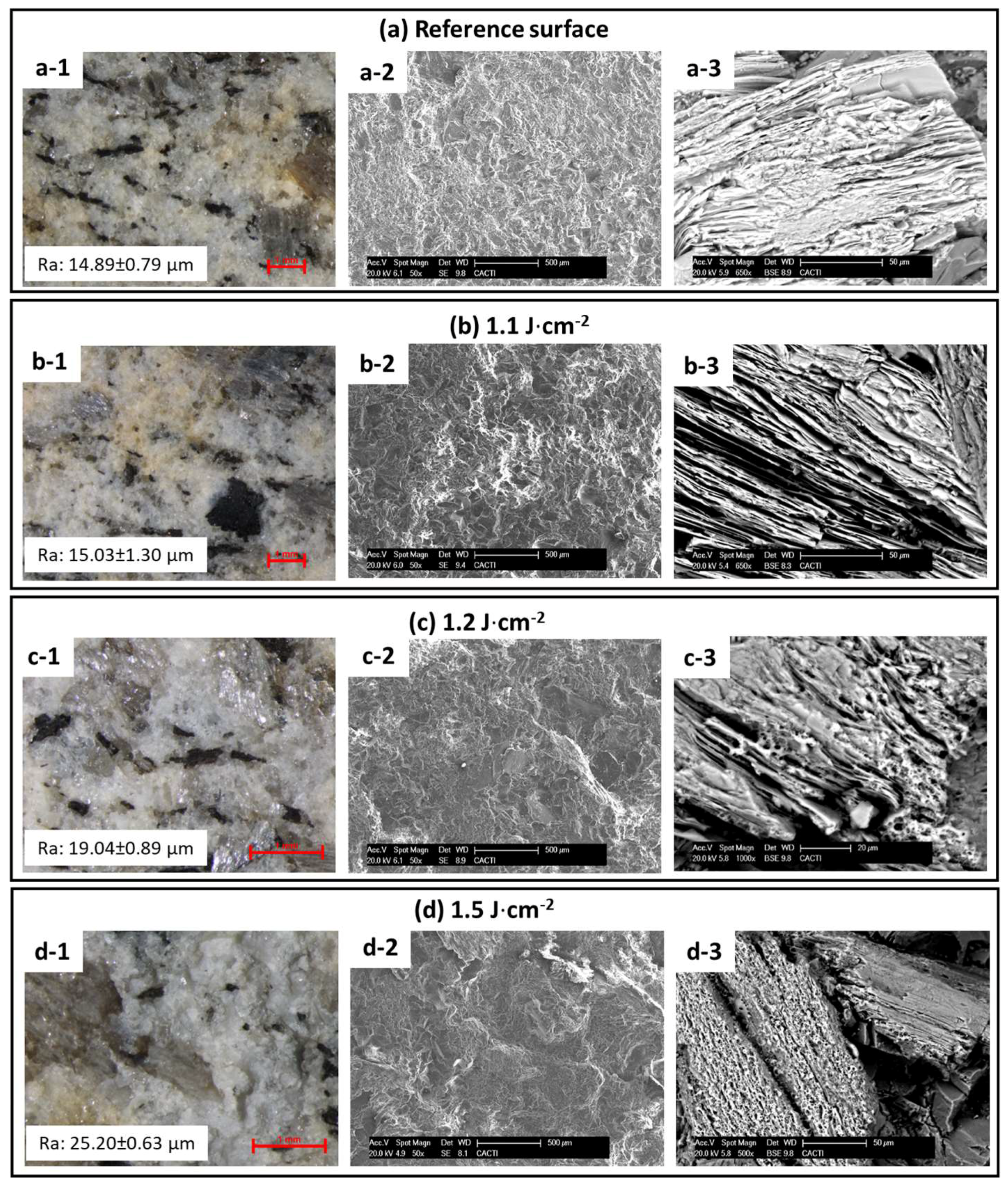 Coatings 08 00124 g001