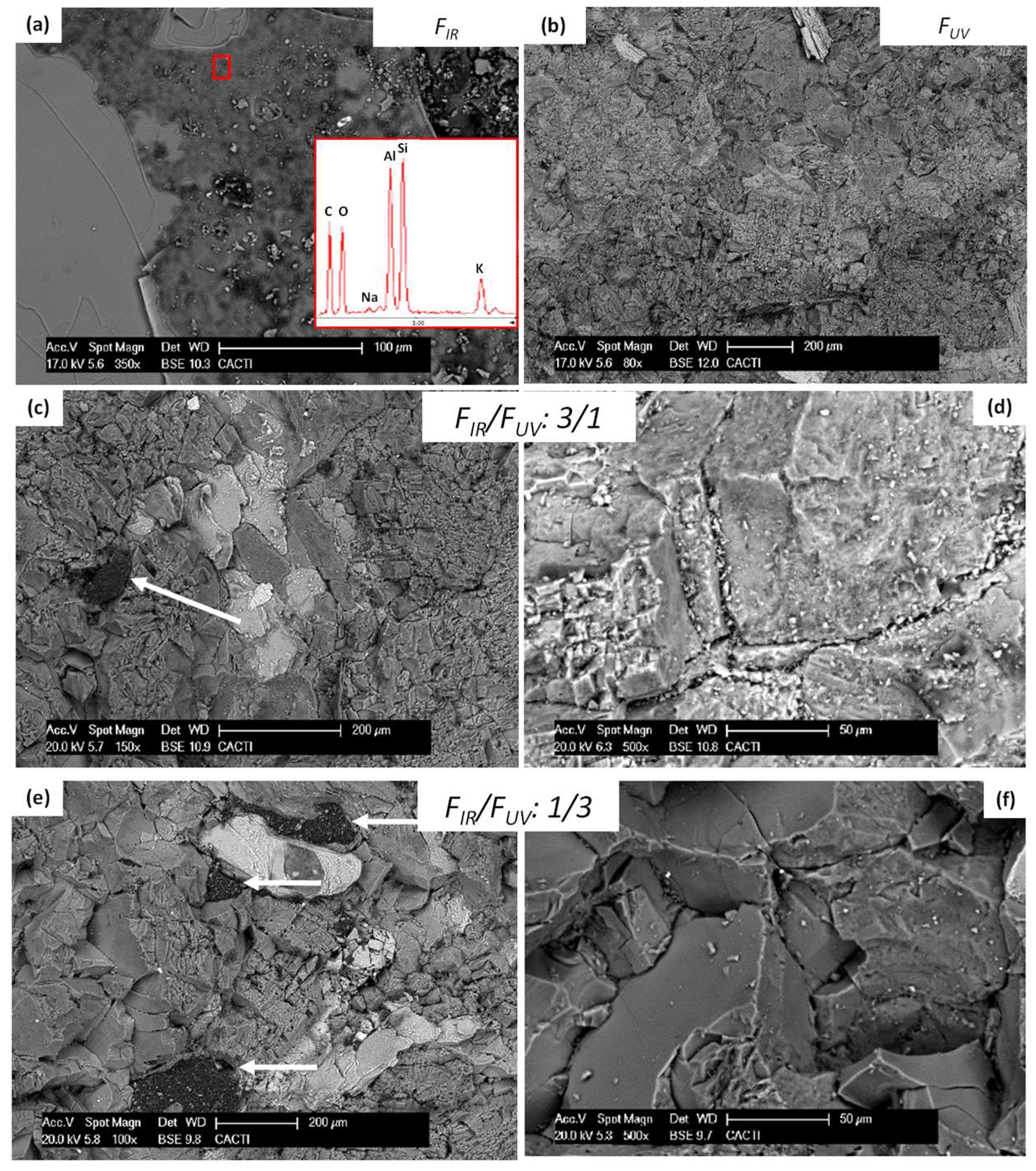 Coatings 08 00124 g007