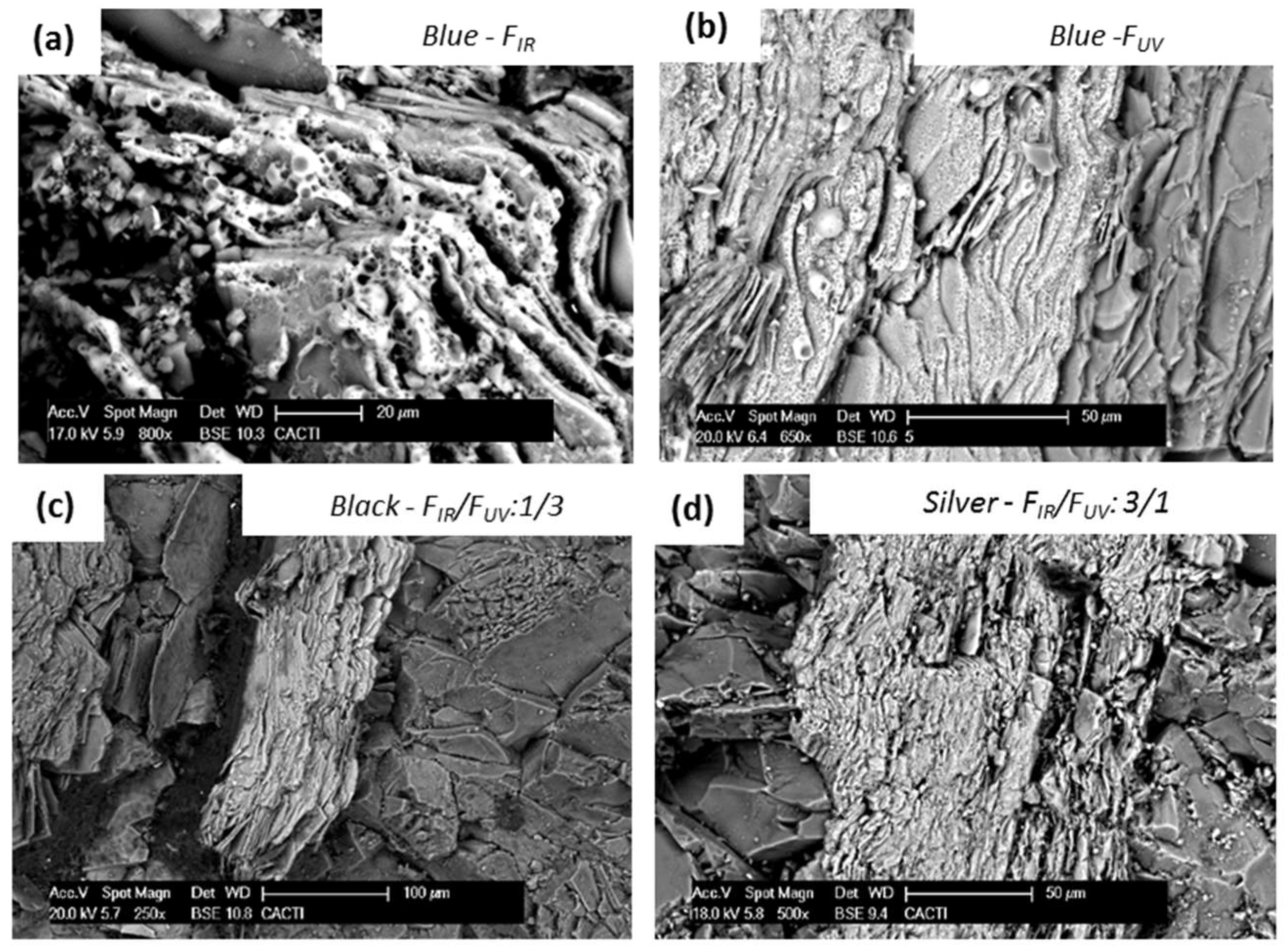 Coatings 08 00124 g008
