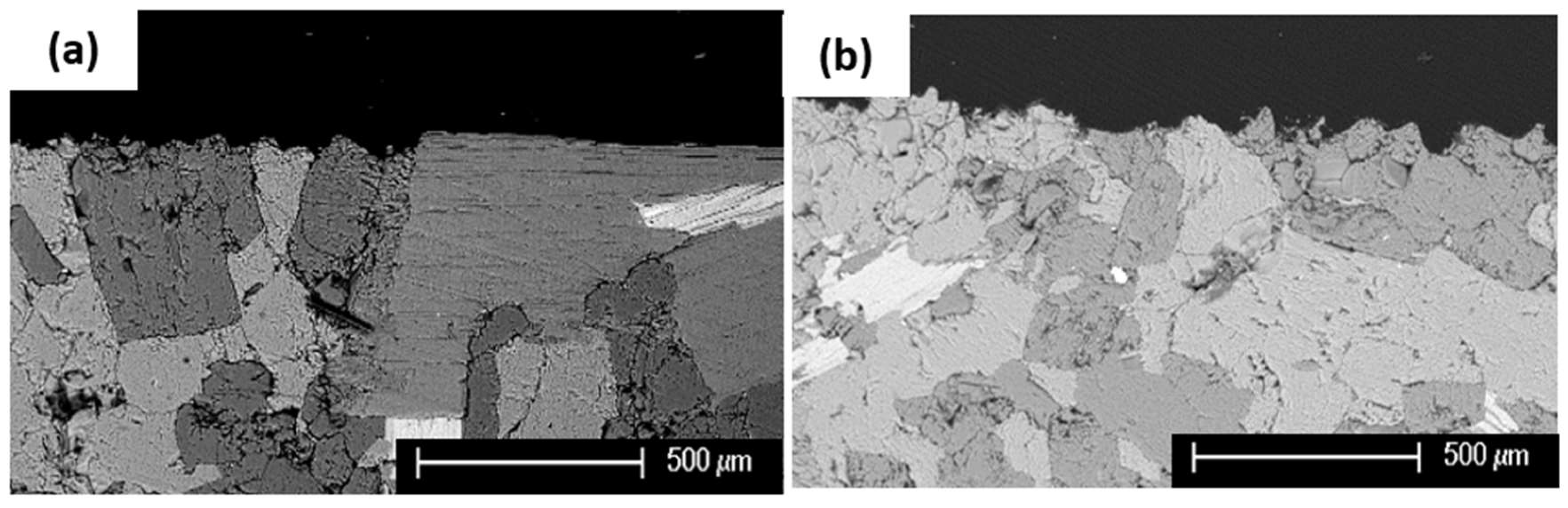 Coatings 08 00124 g010a