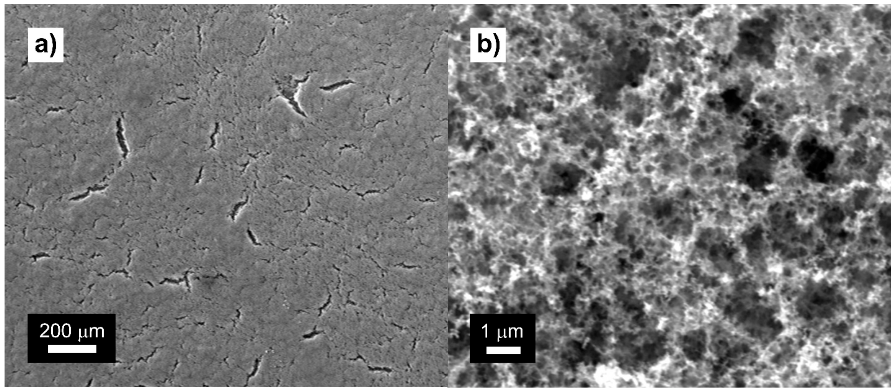 Coatings 08 00128 g002
