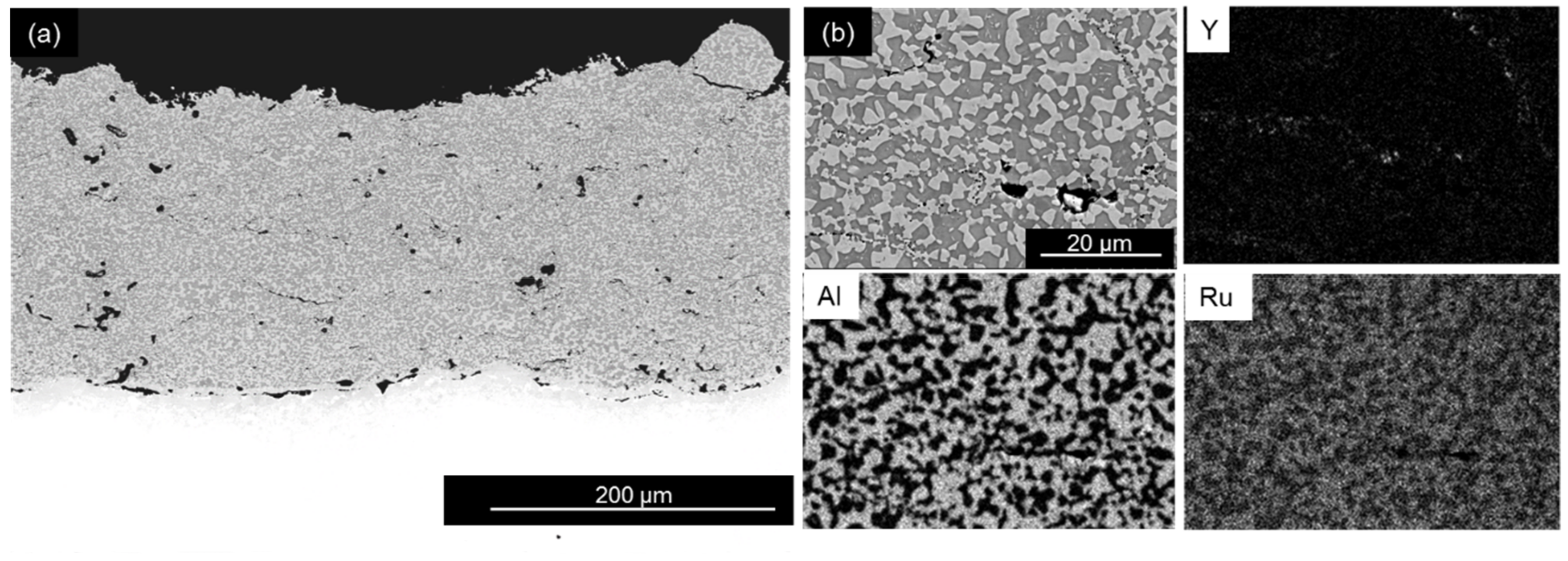 Coatings 08 00129 g002